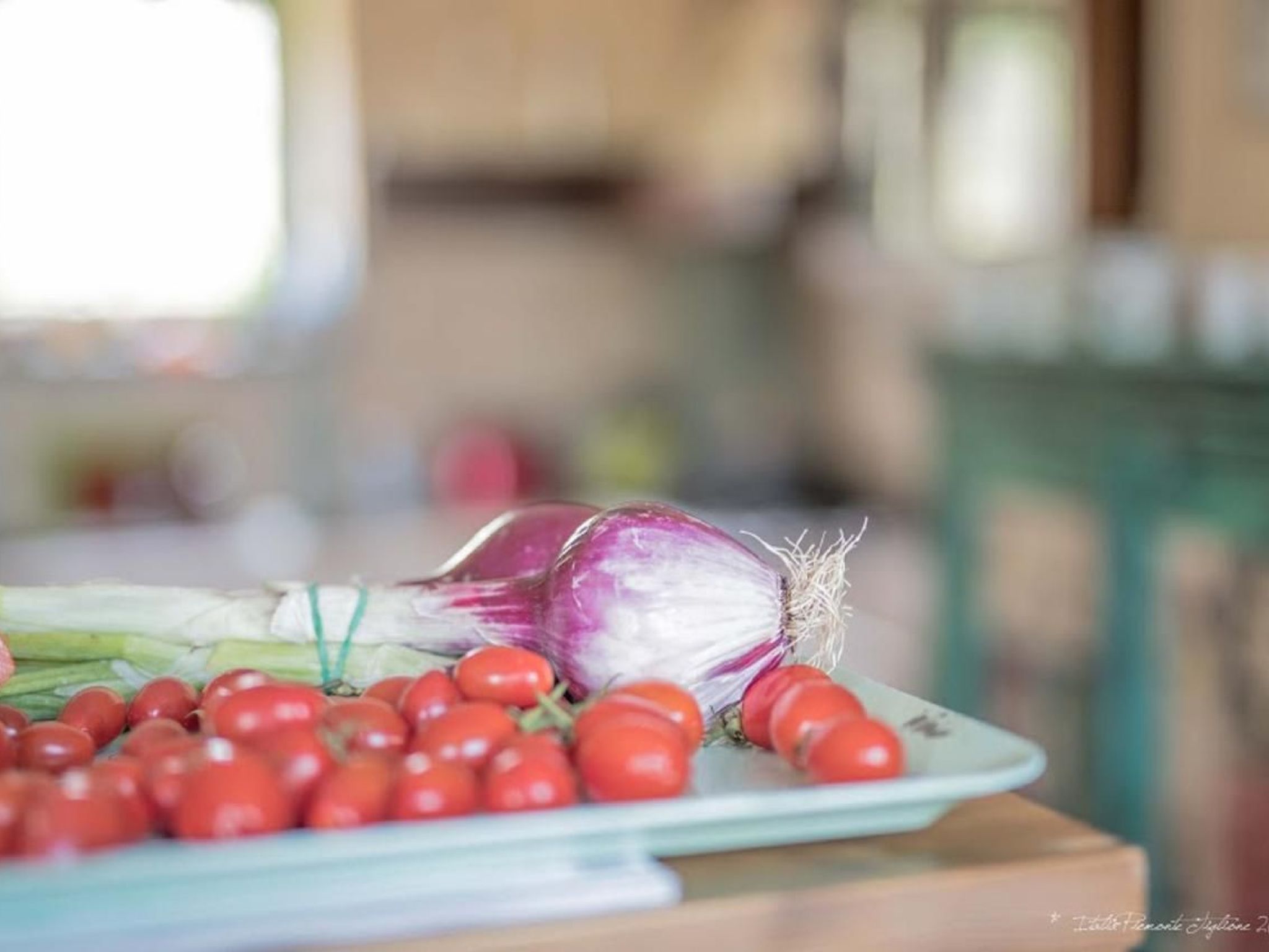 Villa Piemonte-Binnen