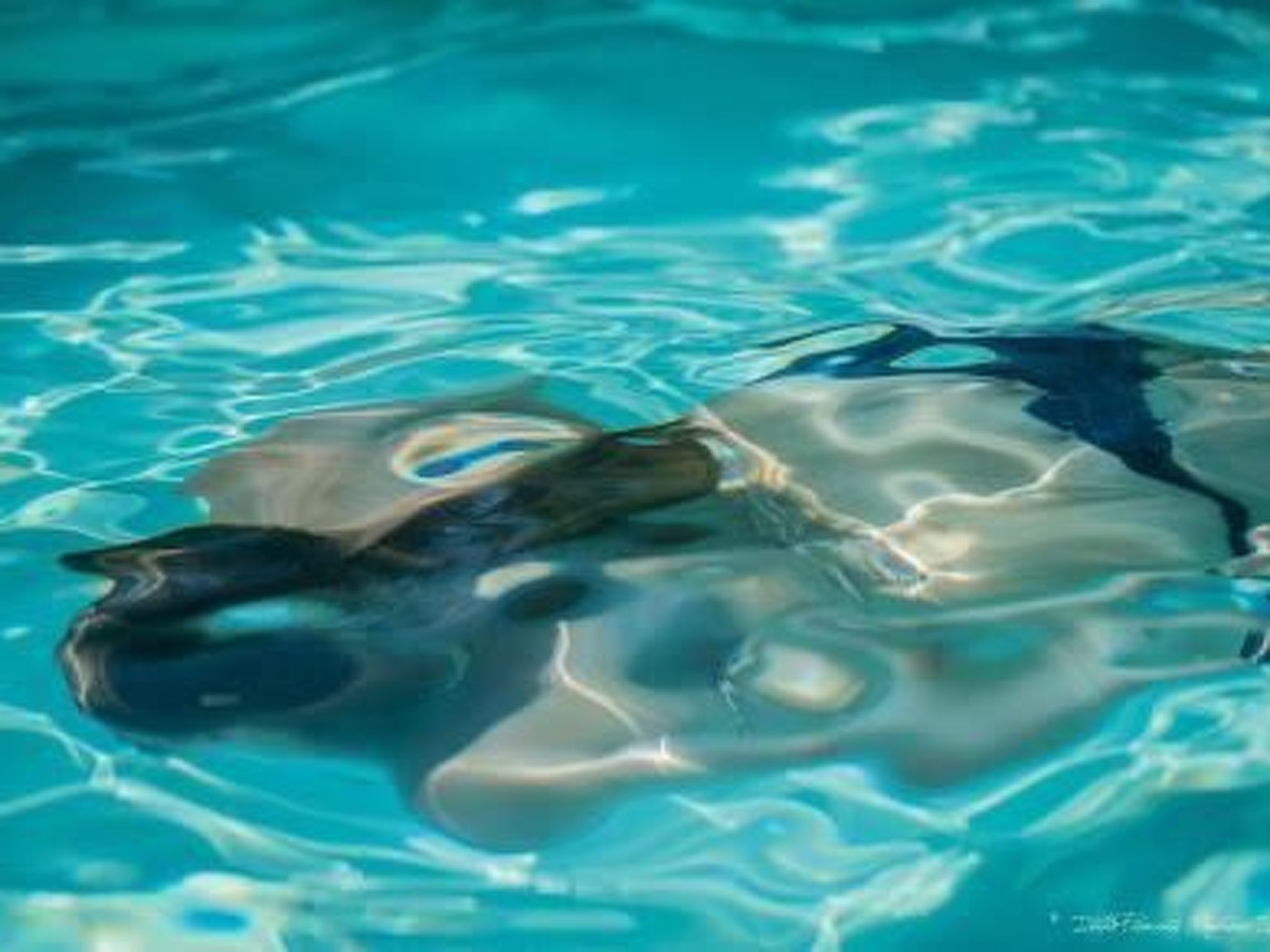 Villa Piemonte-Binnen