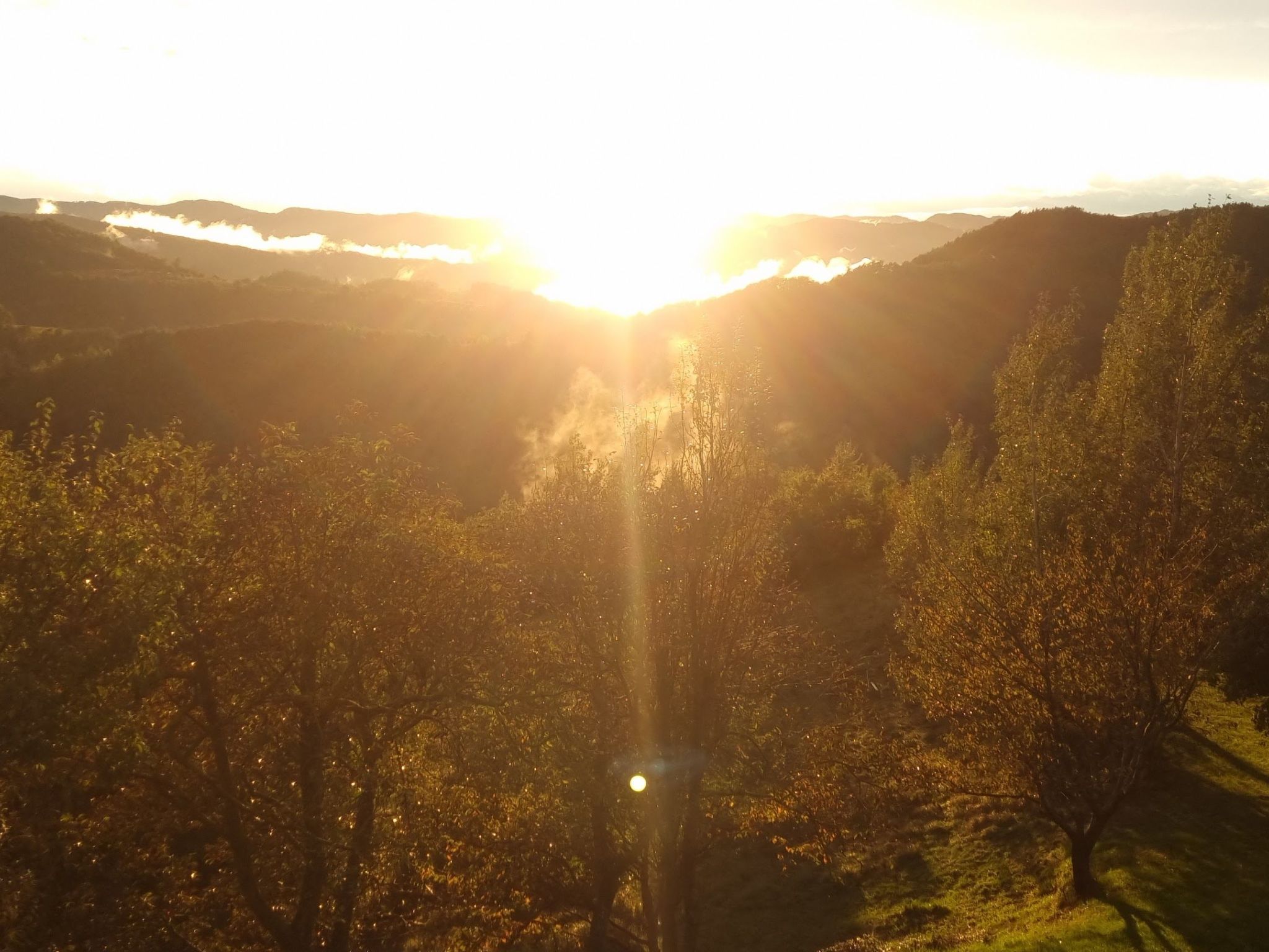 Appartement "Roccaverano" in Cascina Bricco – Vue aérienne, photo 43 sur 80