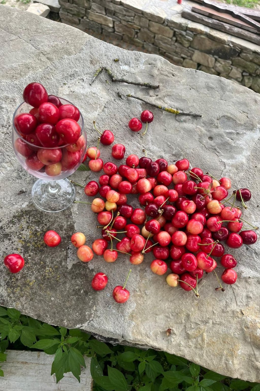 "Roccaverano" in Cascina Bricco-Drinnen