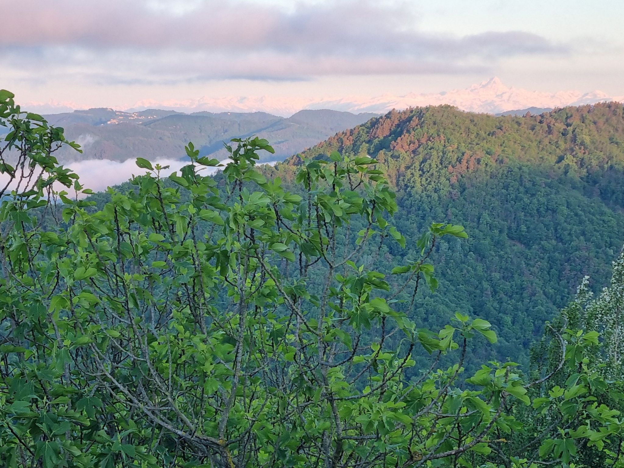 Cascina Bricco - Perletto Ferienwohnung-Drinnen