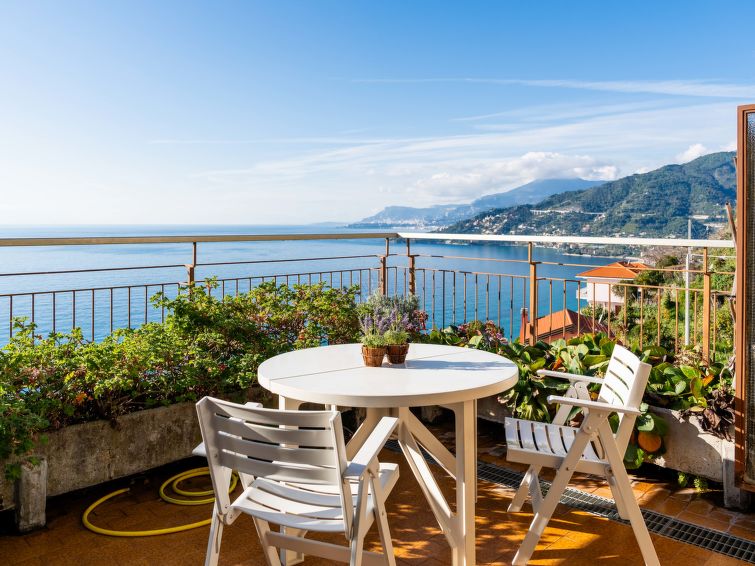 "Monte Carlo View", appartement 1-kamer 50 m2. Doelmatig ingericht: woon-/eetkamer met panoramavenster met 1 2-pers divanbed (1 x 160 cm, lengte 200 cm), 1 slaapplaats. Kookhoek (Gasfornuis, 4 kookpit..