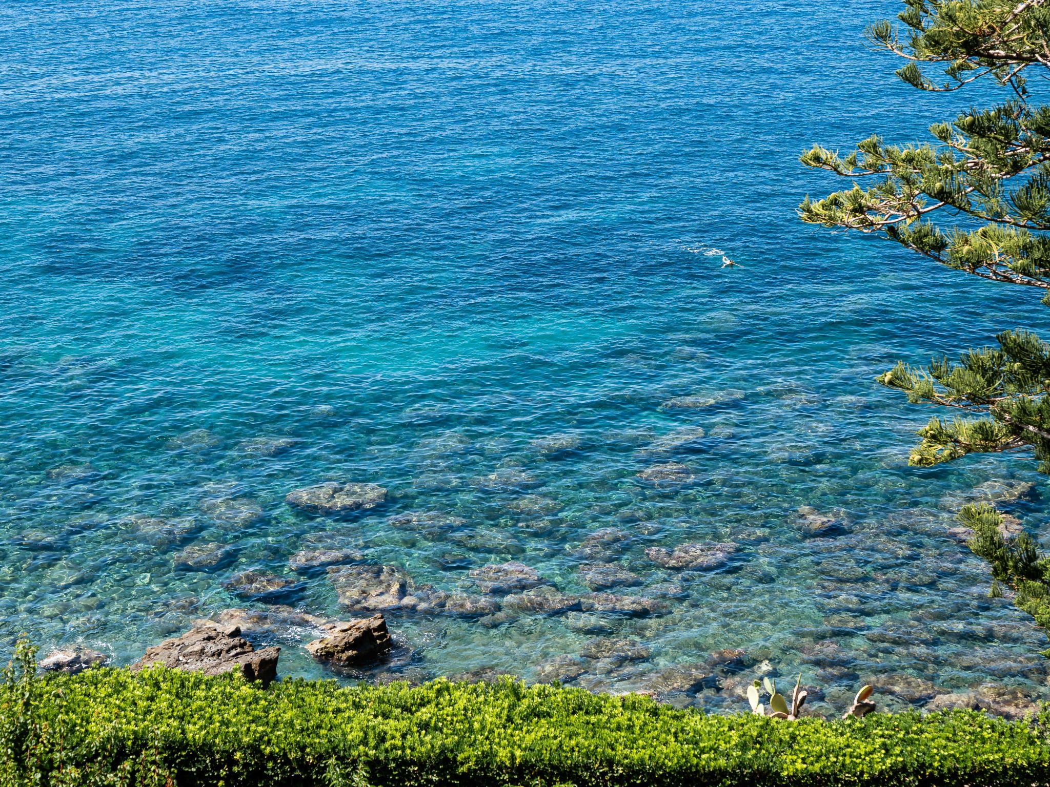 Seaview