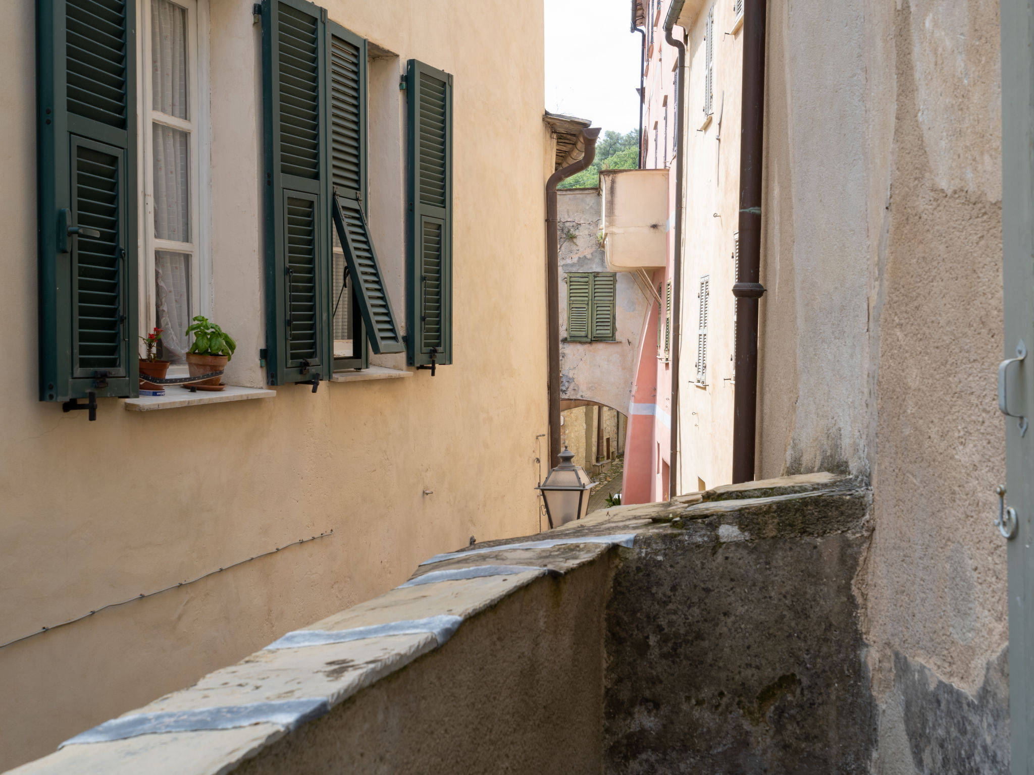 Geranio & Rosetta (TOP132) — Terrace (5 of 59)