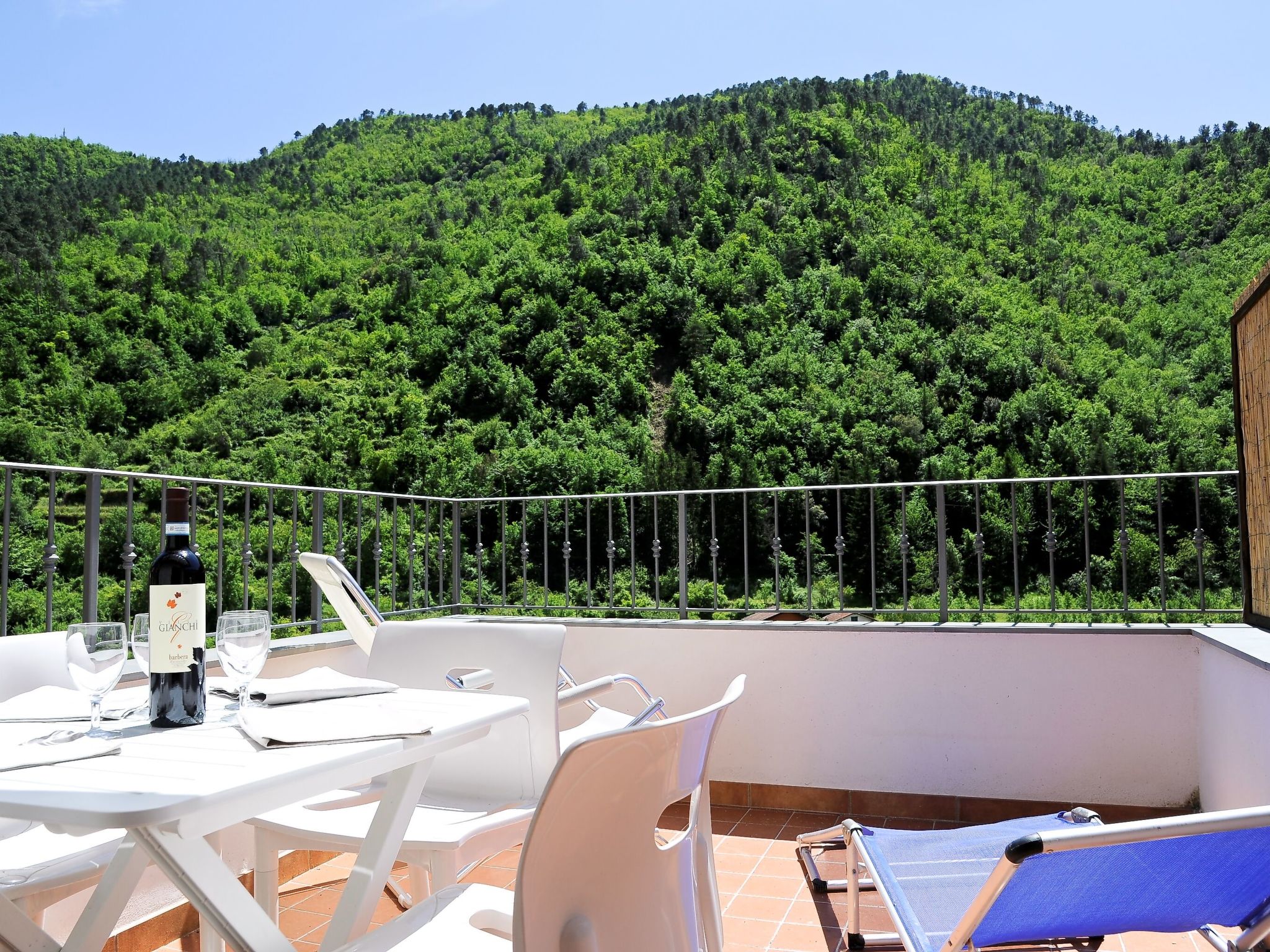 Vakantiehuis in Pigna (Italië) 1 hond is welkom