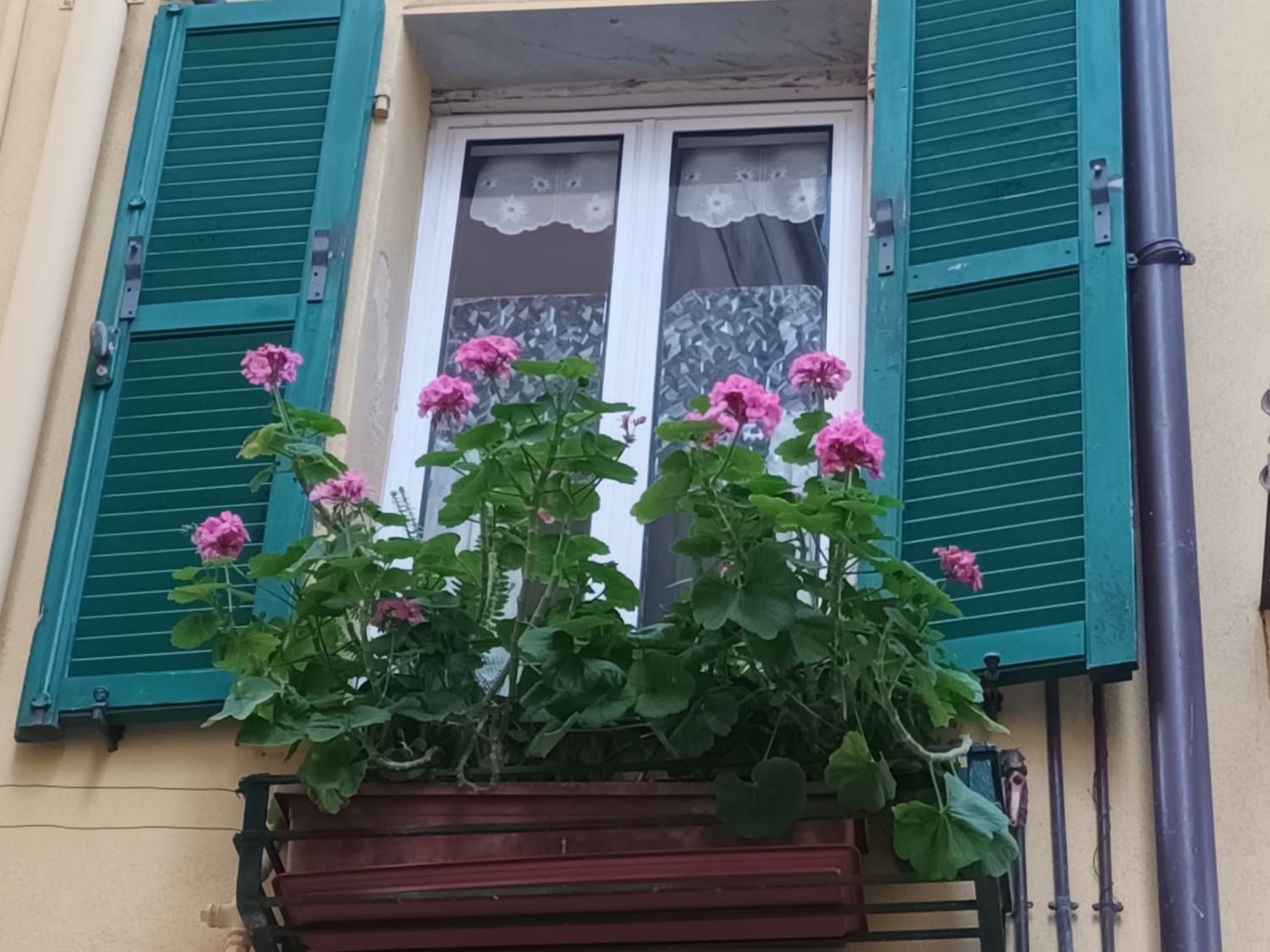 Photo of Menotti-Ferienhaus