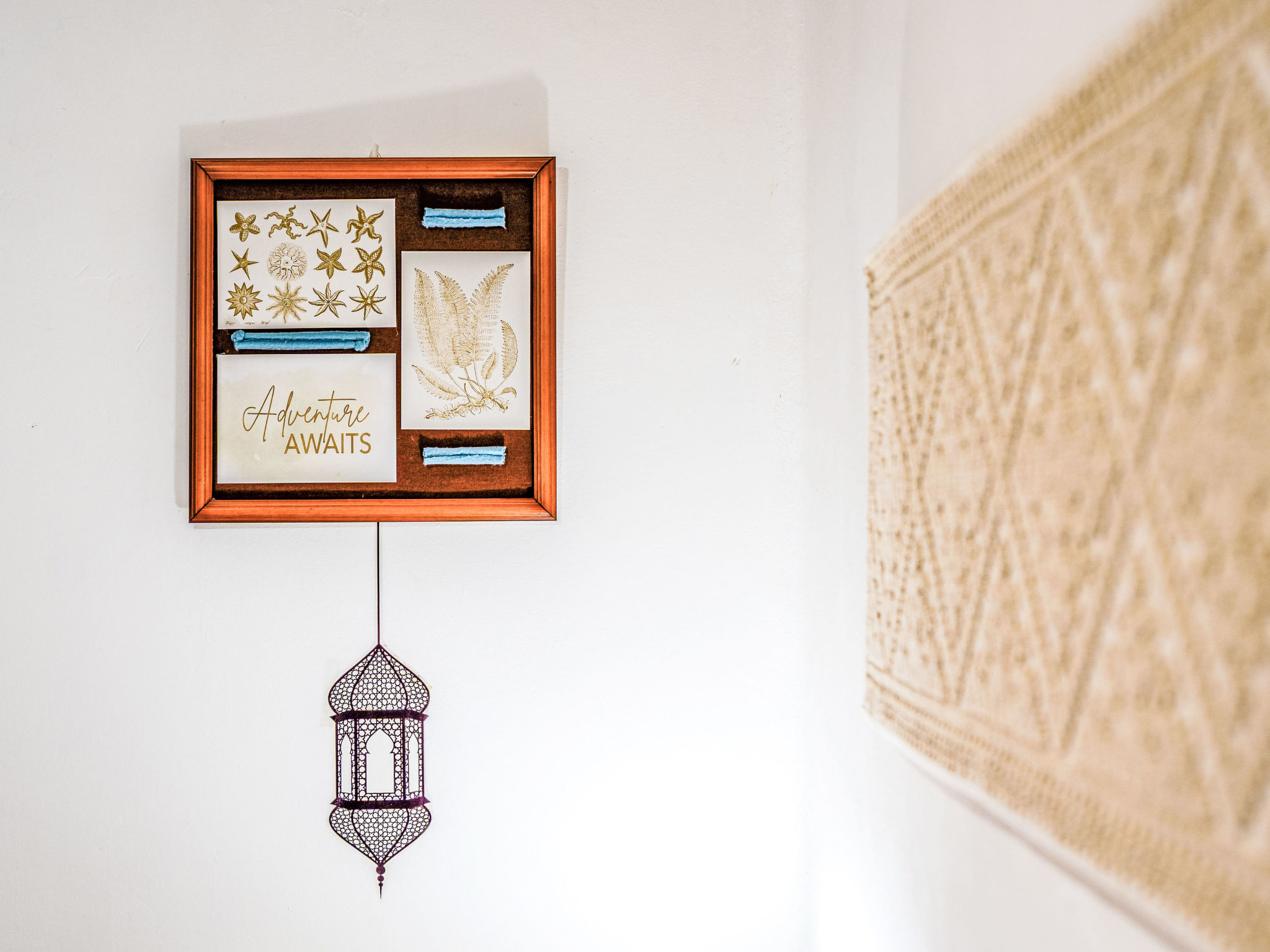 Margherita Home-Drinnen