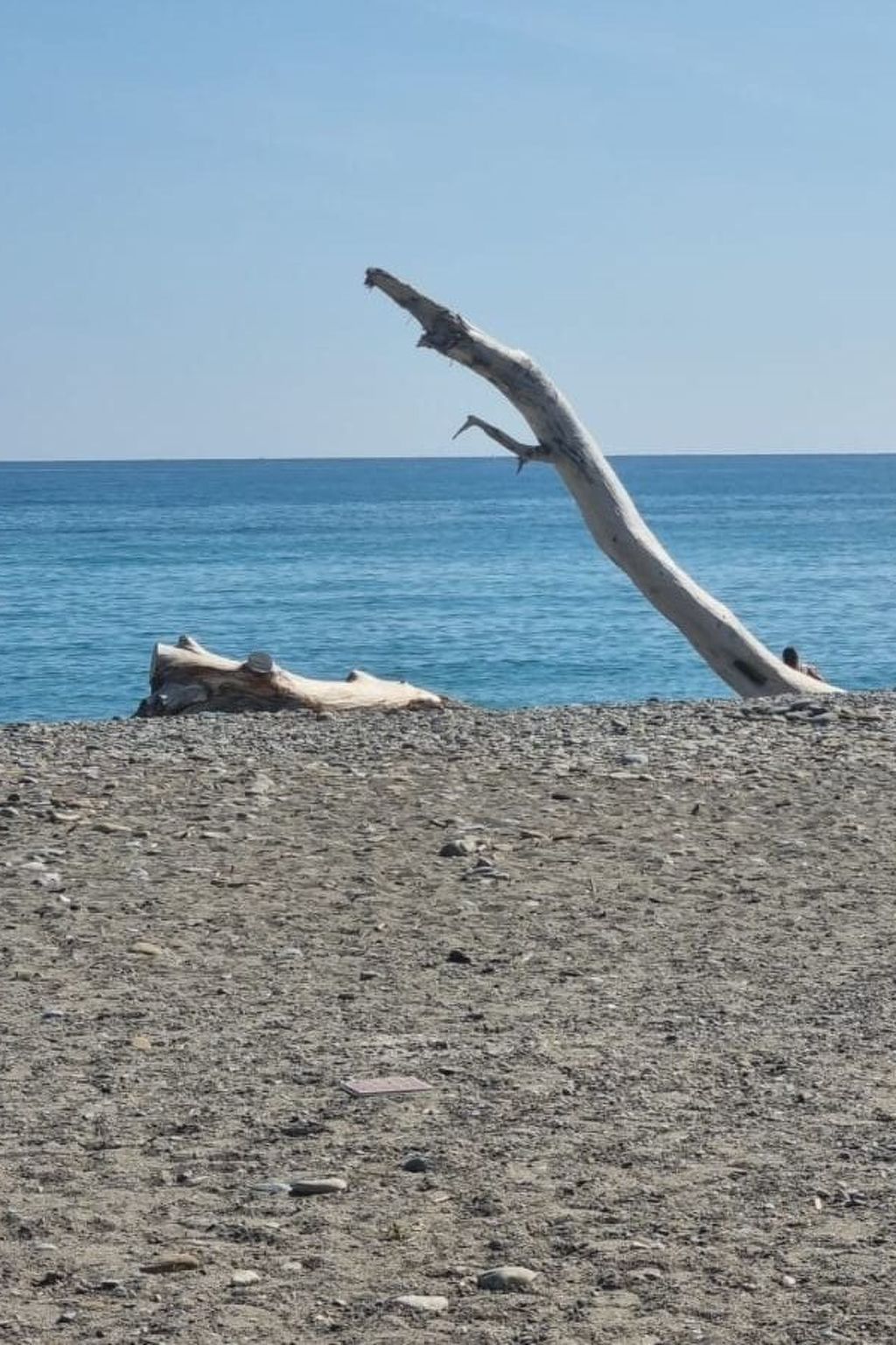 Wohnung mit Garten, wenige Minuten vom Meer entfernt-Image-tags.info