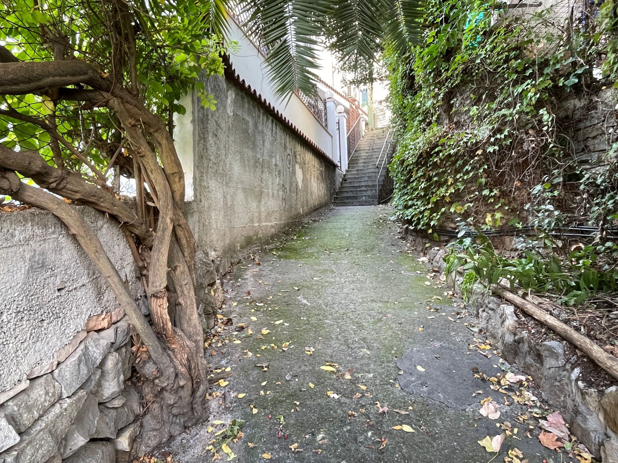 Photo of Il Paradiso di Via Dante by Holiday World