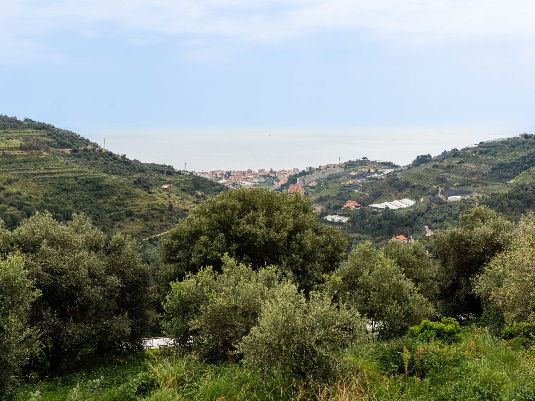 Villa tra Ulivi-Dehors