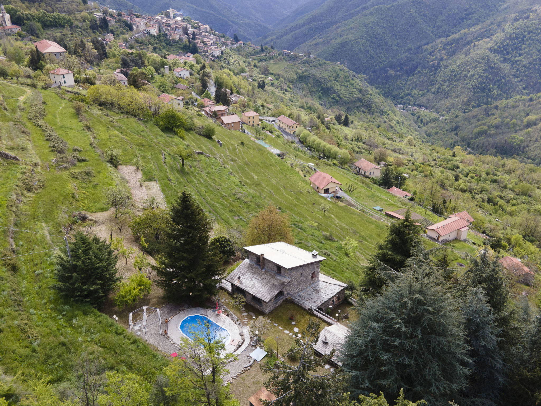 Villa tra i Cedri - Image 3
