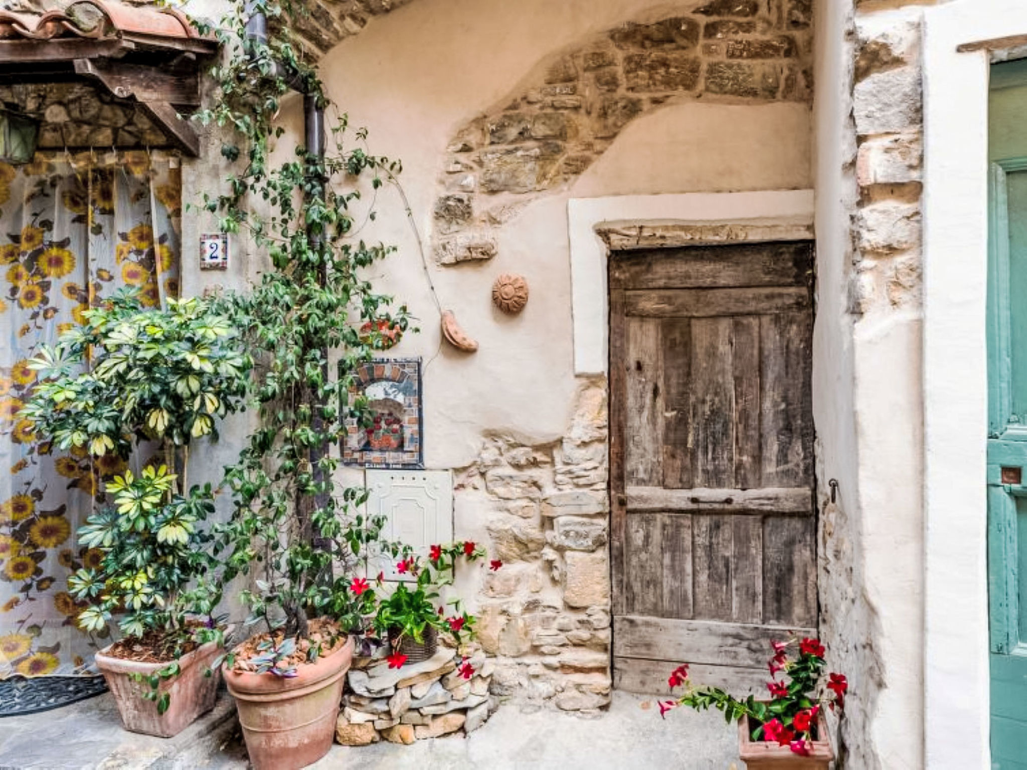 Yellow House - Dehors