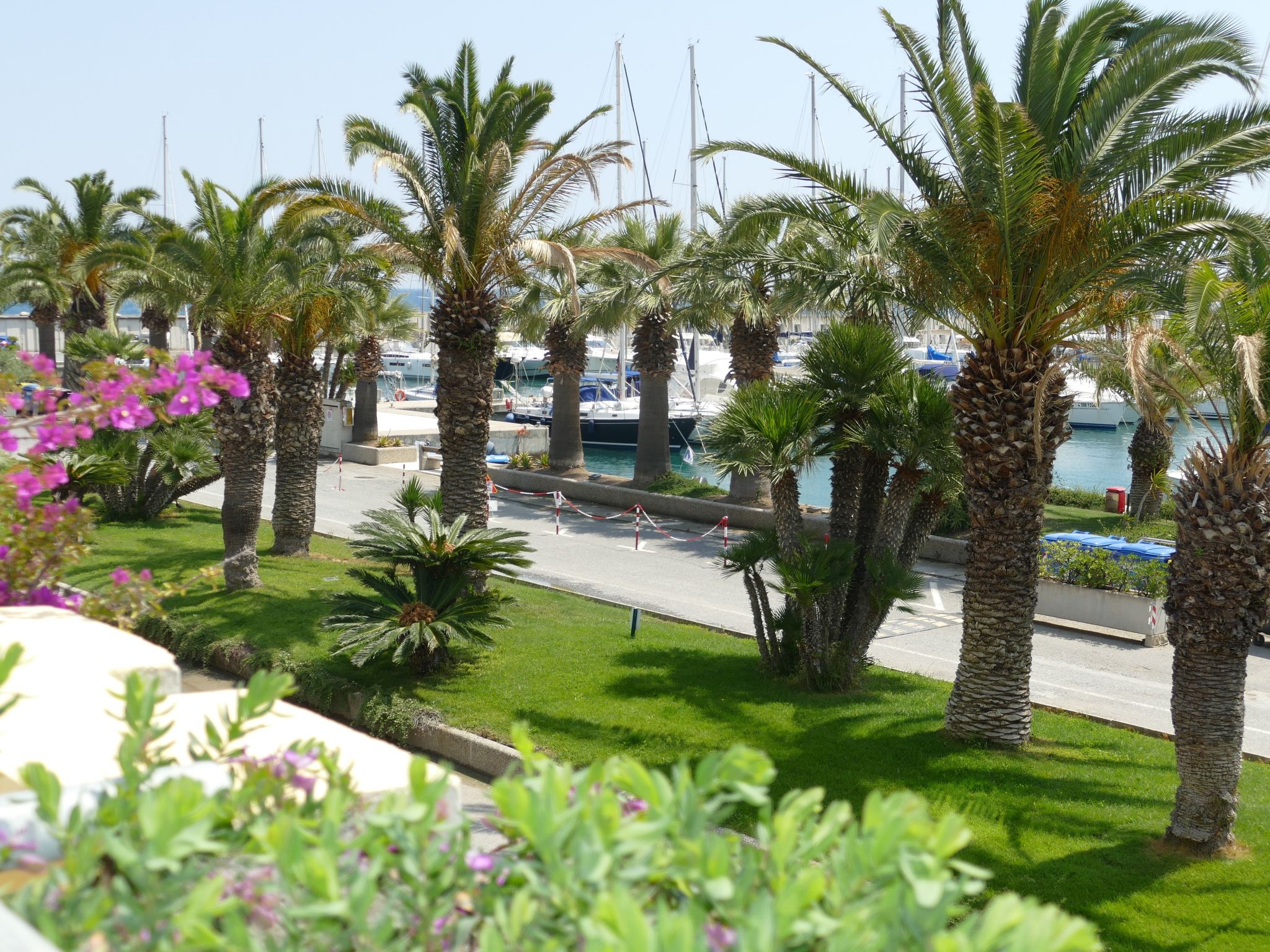 Romina - Image 5