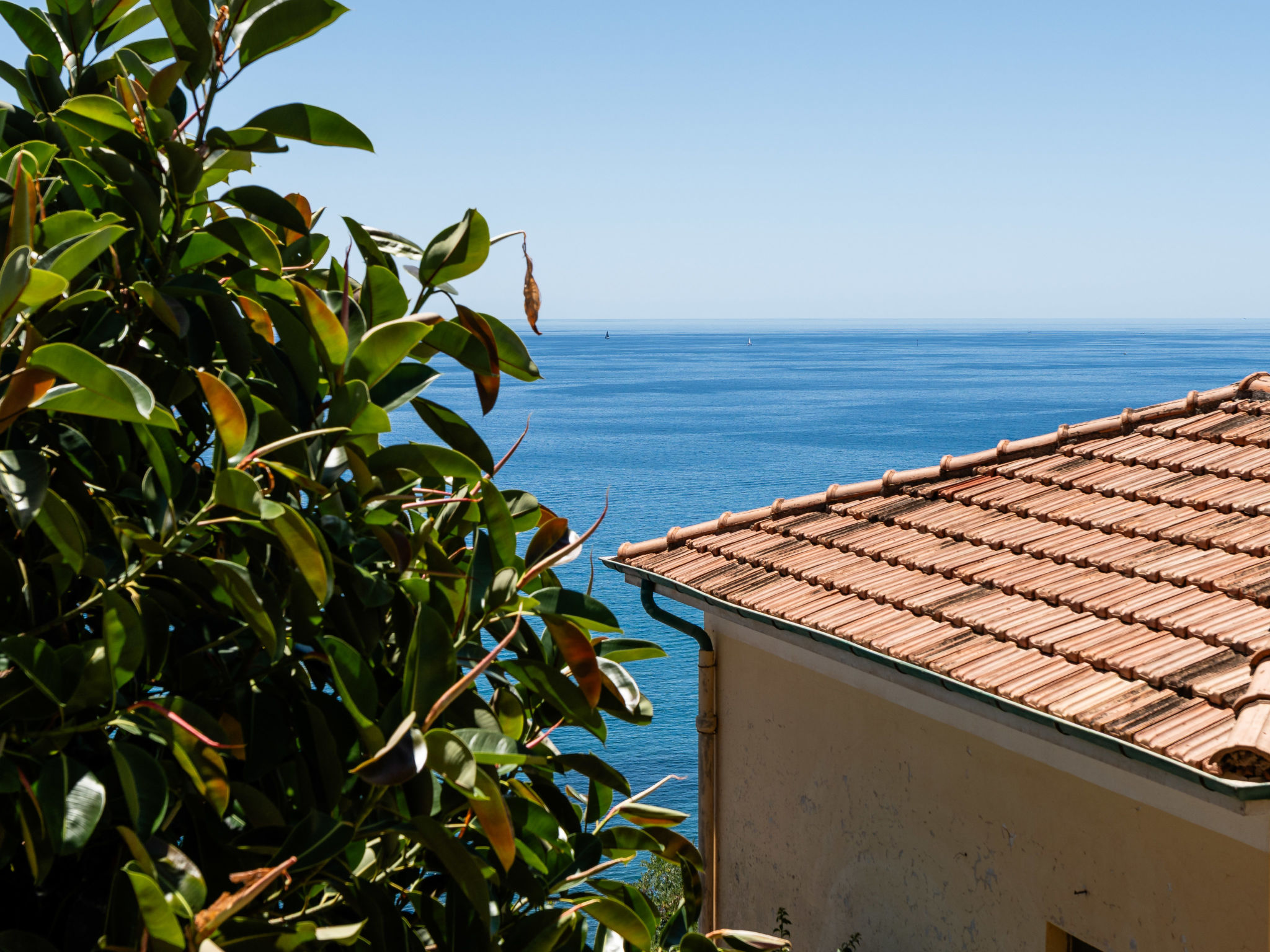 La Terrazza-Outside