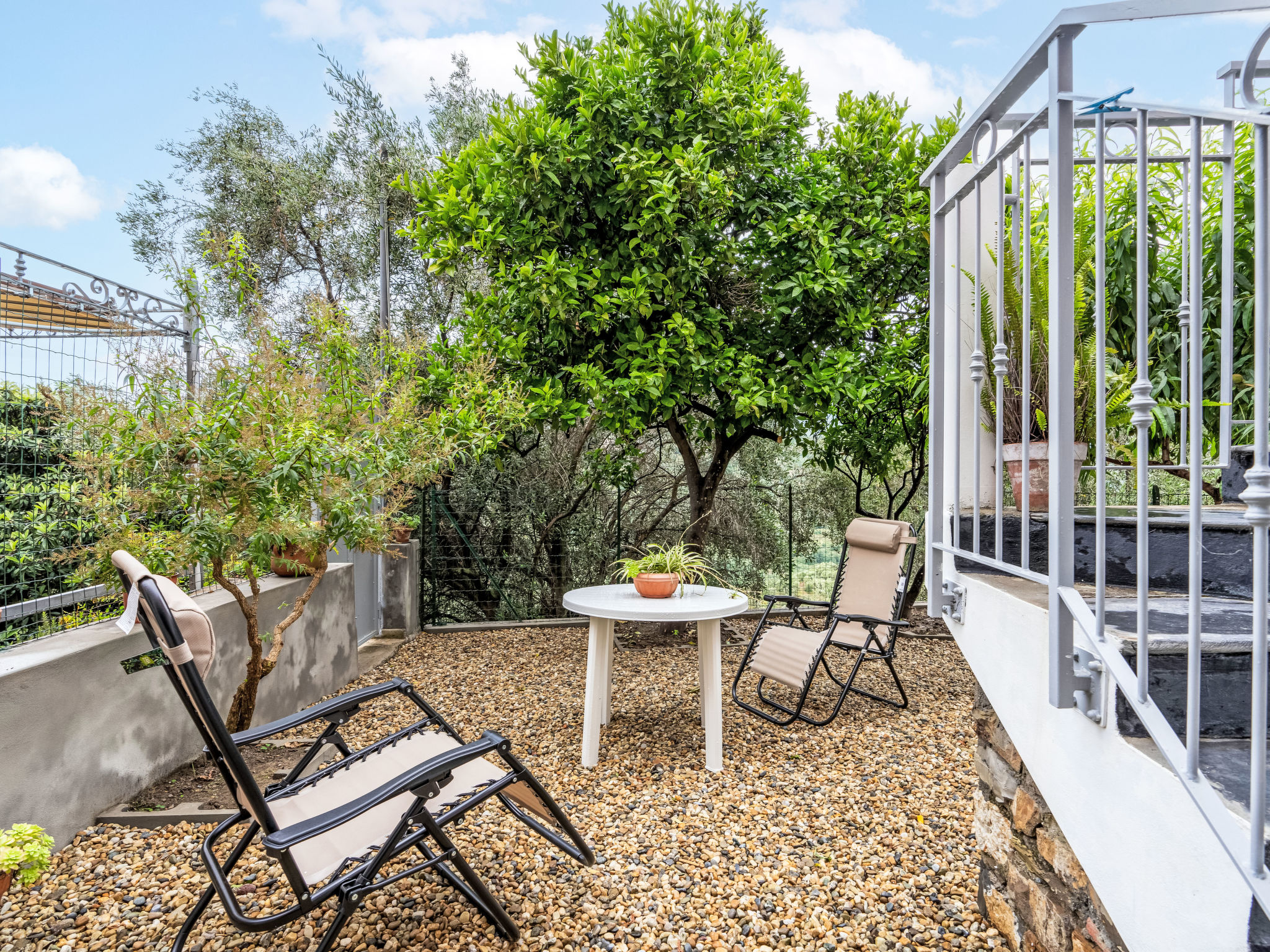 Peppina - Image 4