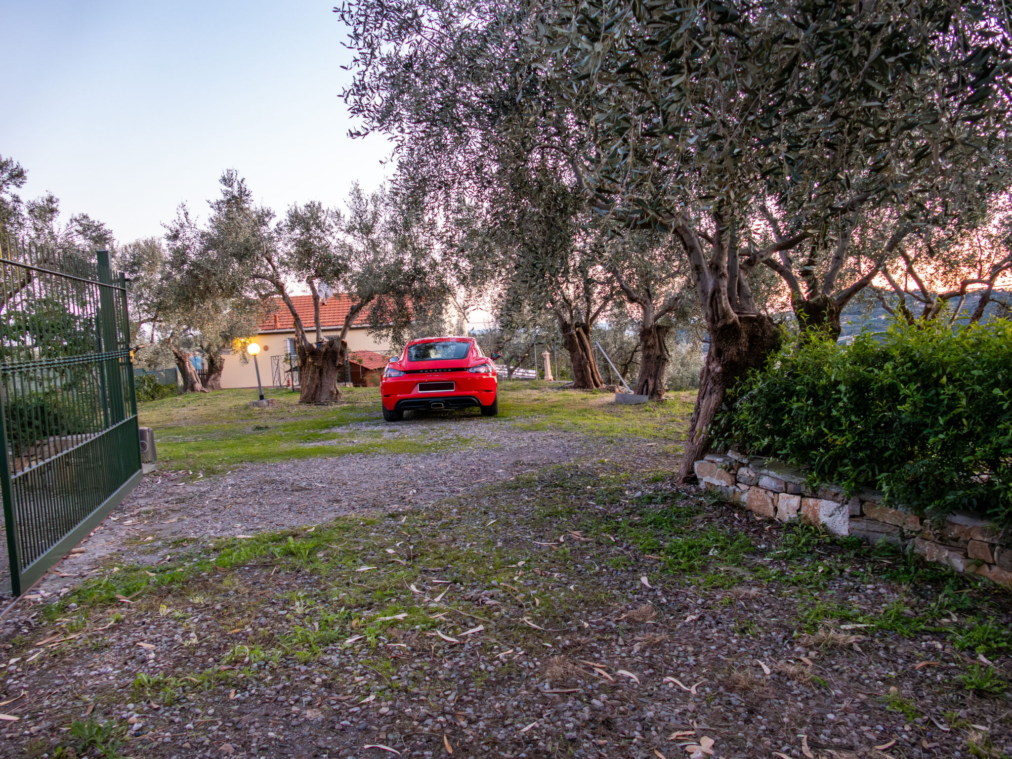 Garden-Outside