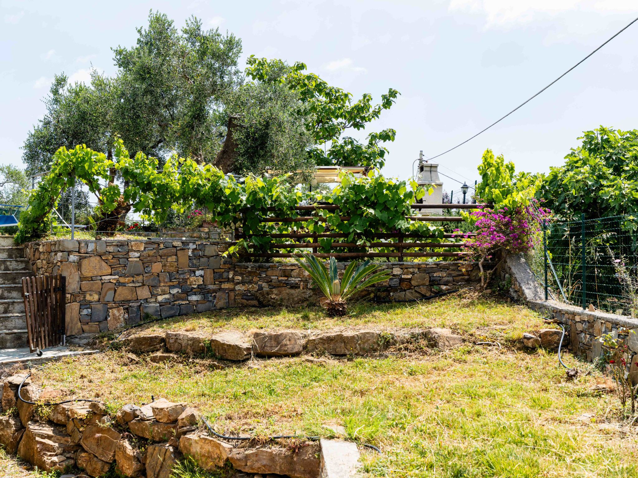 Olive Lodge-Buiten
