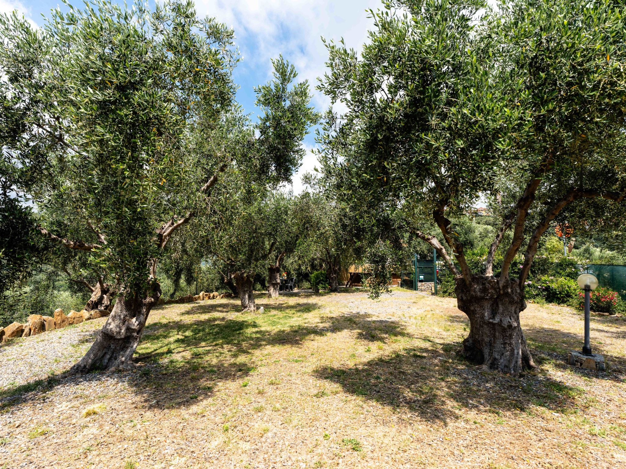 Olive Lodge-Buiten