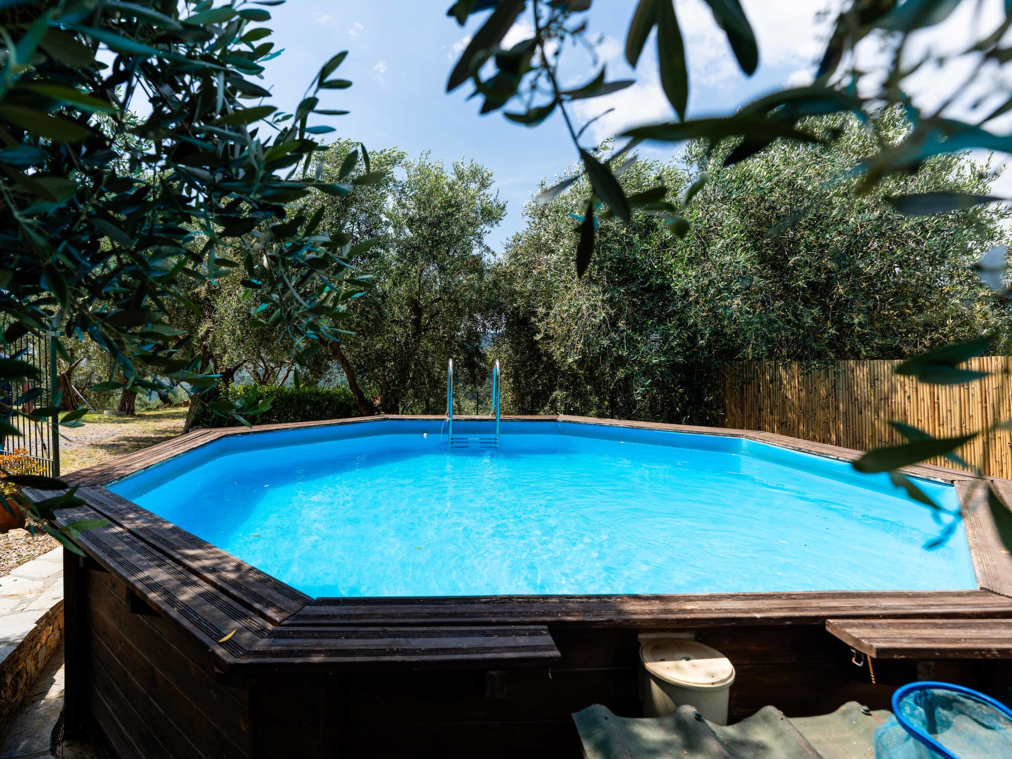 Olive Lodge