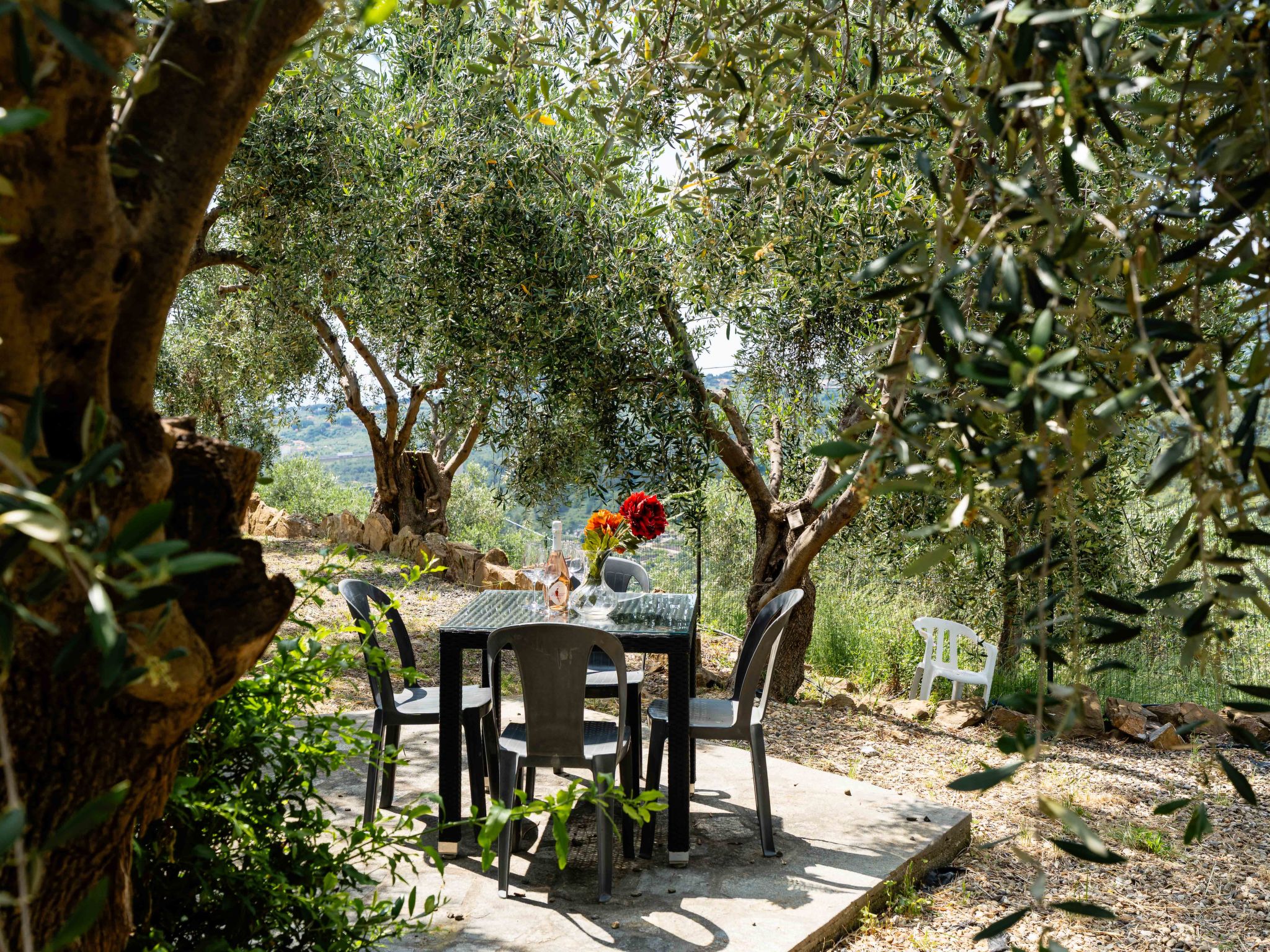 Olive Lodge-Buiten