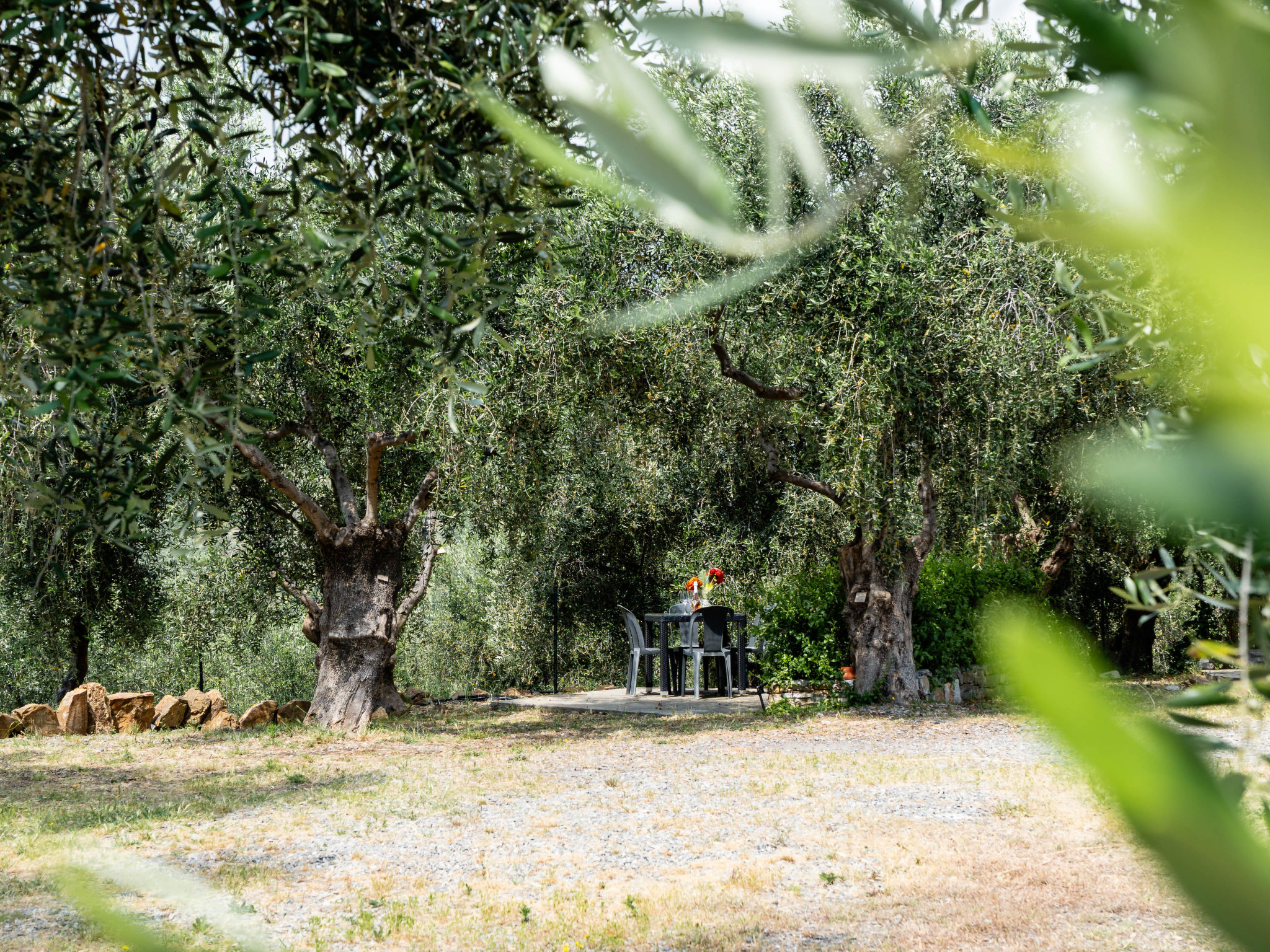 Olive Lodge-Buiten