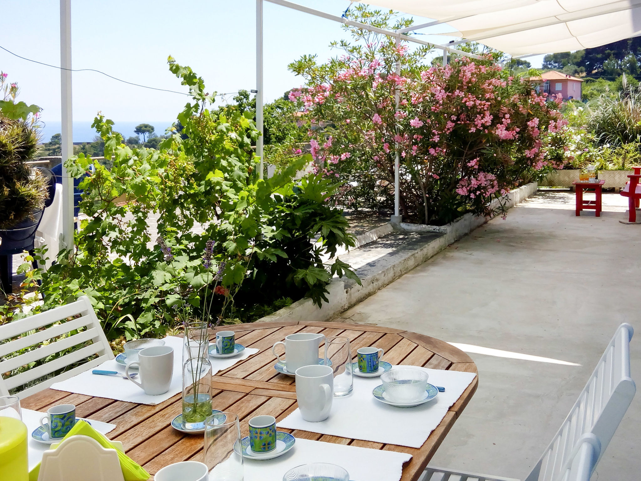 Photo of Ketty (SLR110)