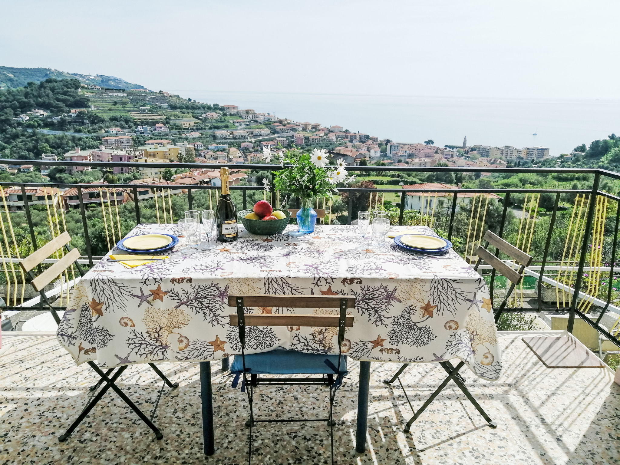 Photo of Joly (SLR111)