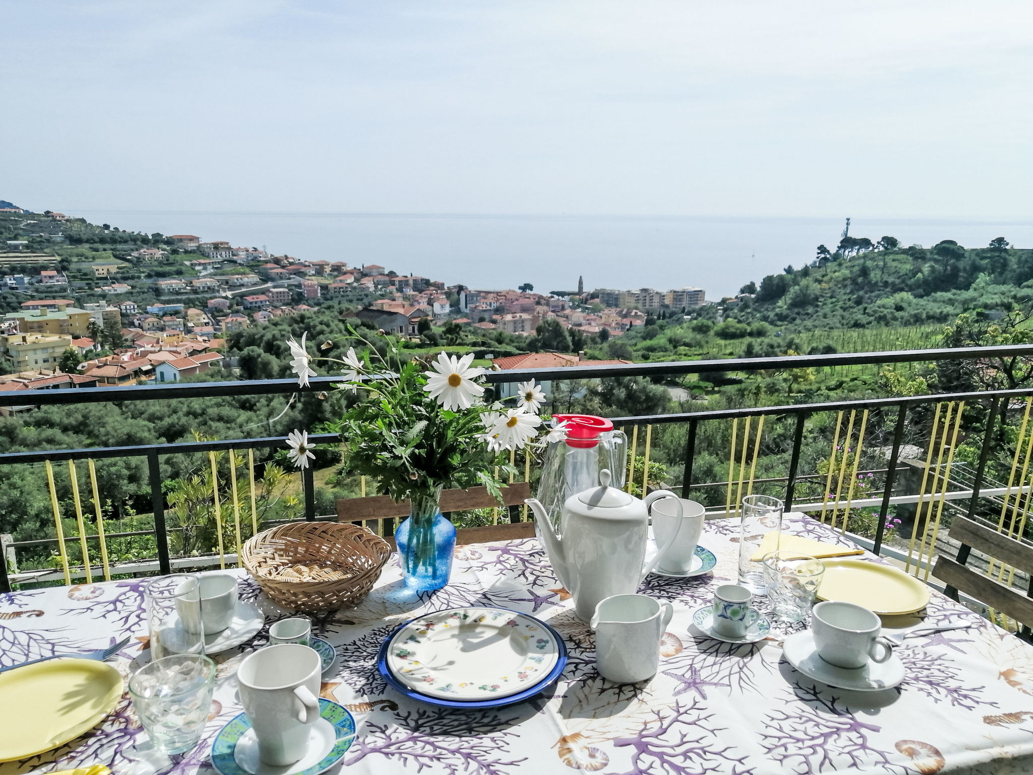 Photo of Joly (SLR111)