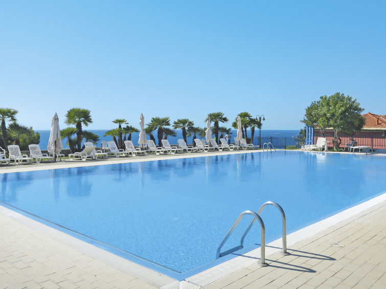 Le Margherite (SLR256)