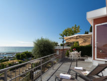 Bouganvilla (SLR402)