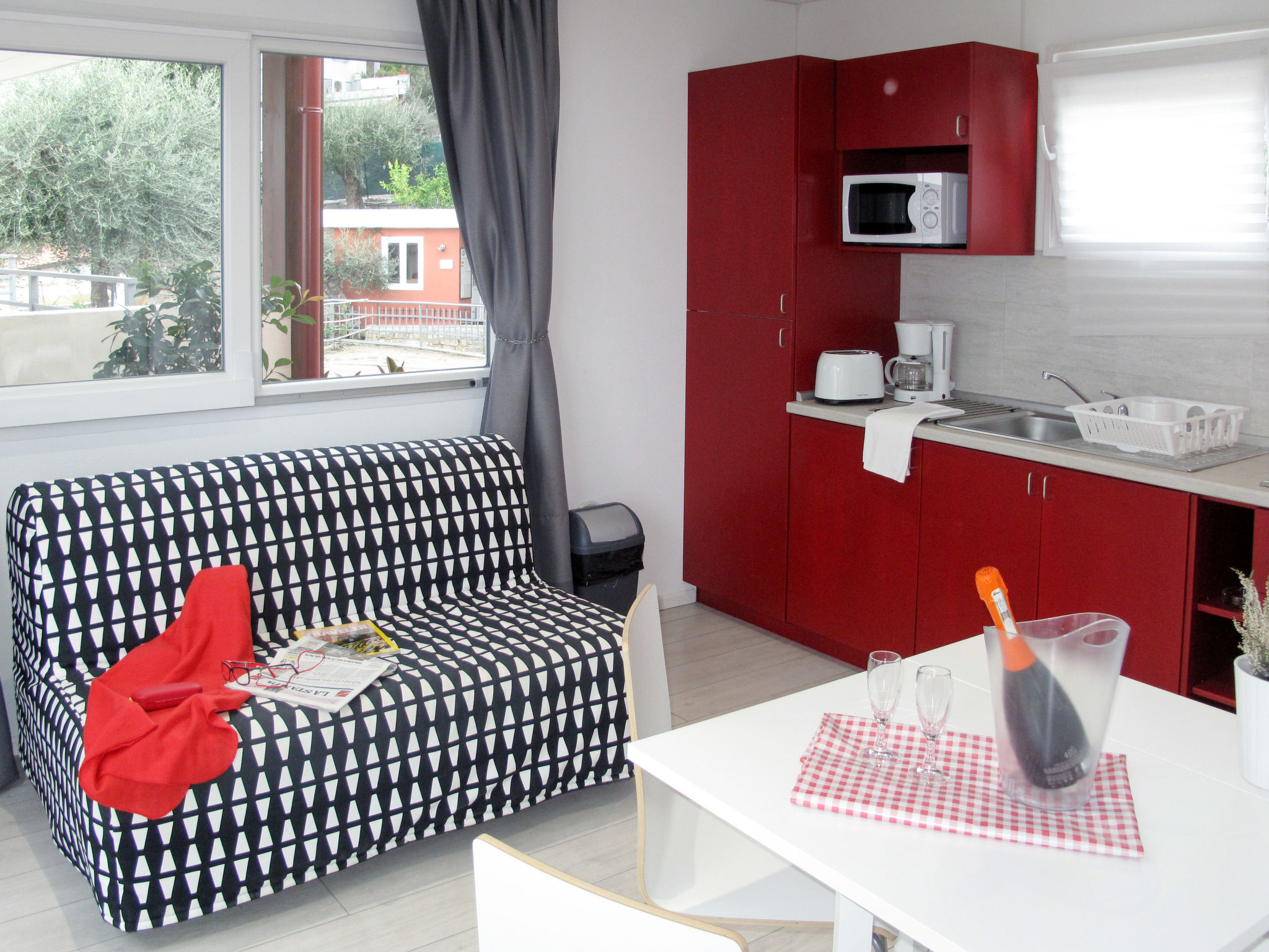 Photo of Ibisco (SLR404)