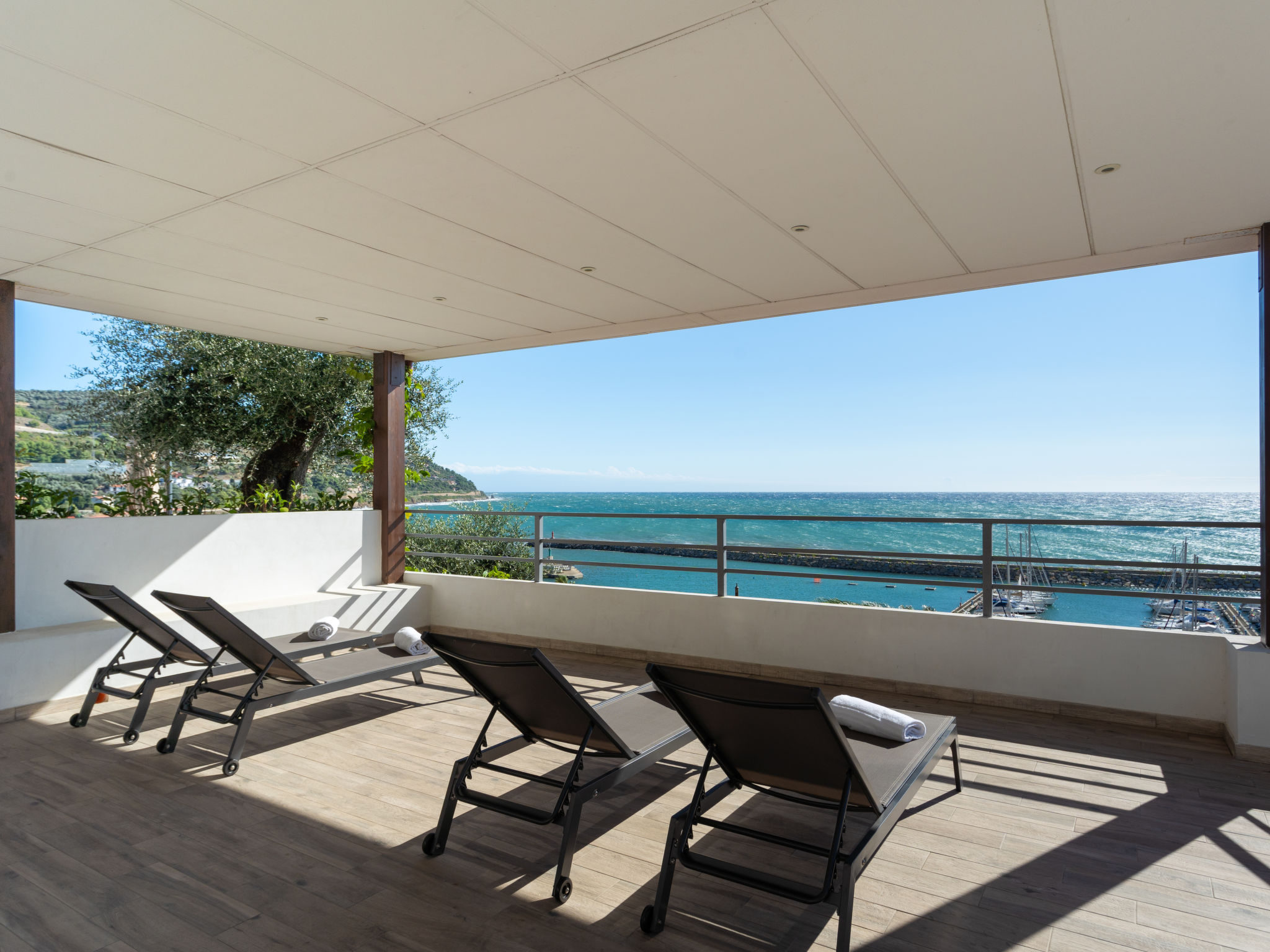 Photo of Ibisco (SLR404)