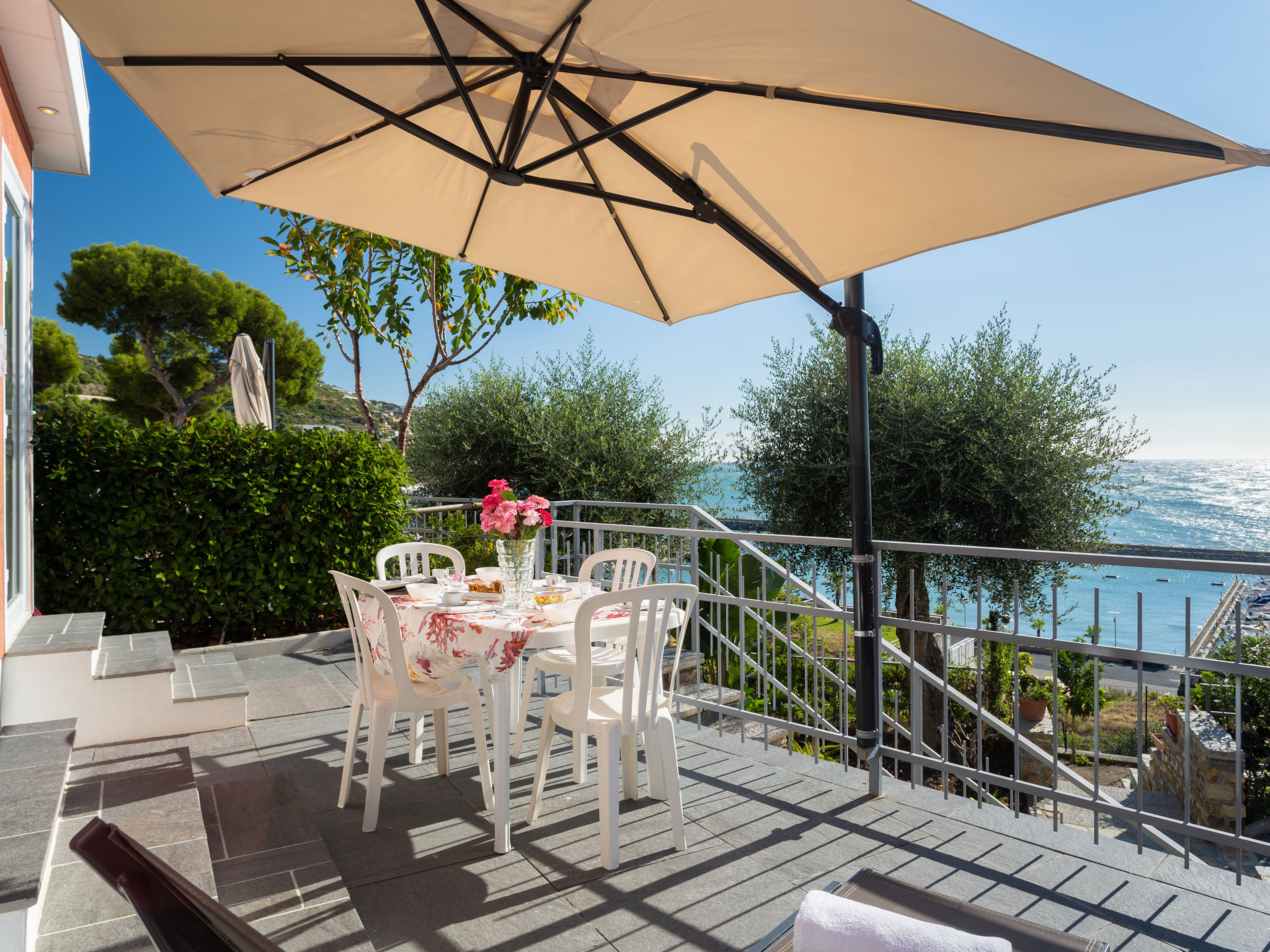 Photo of Magnolia (SLR405)