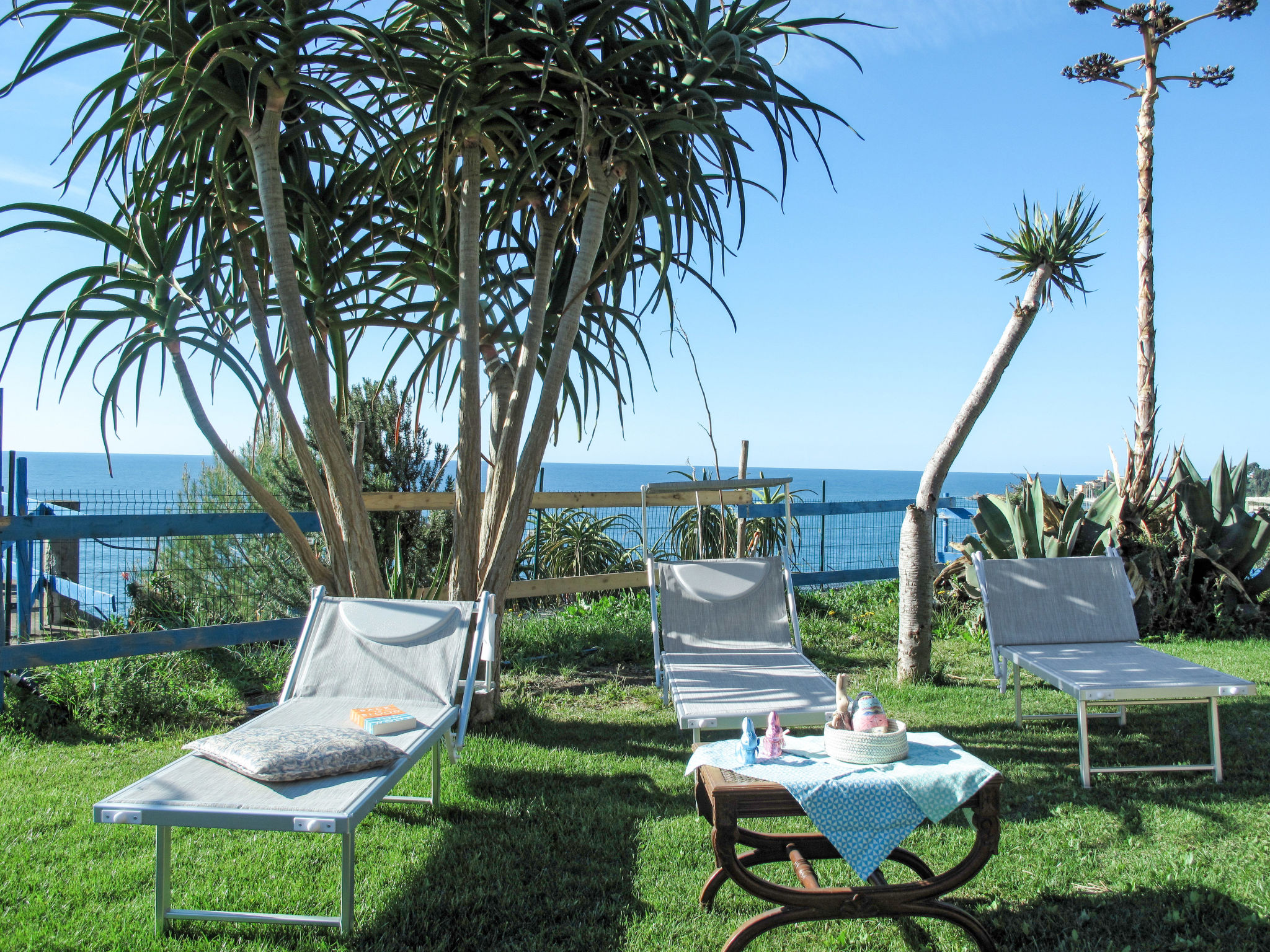 Photo of Arco (SLR350)