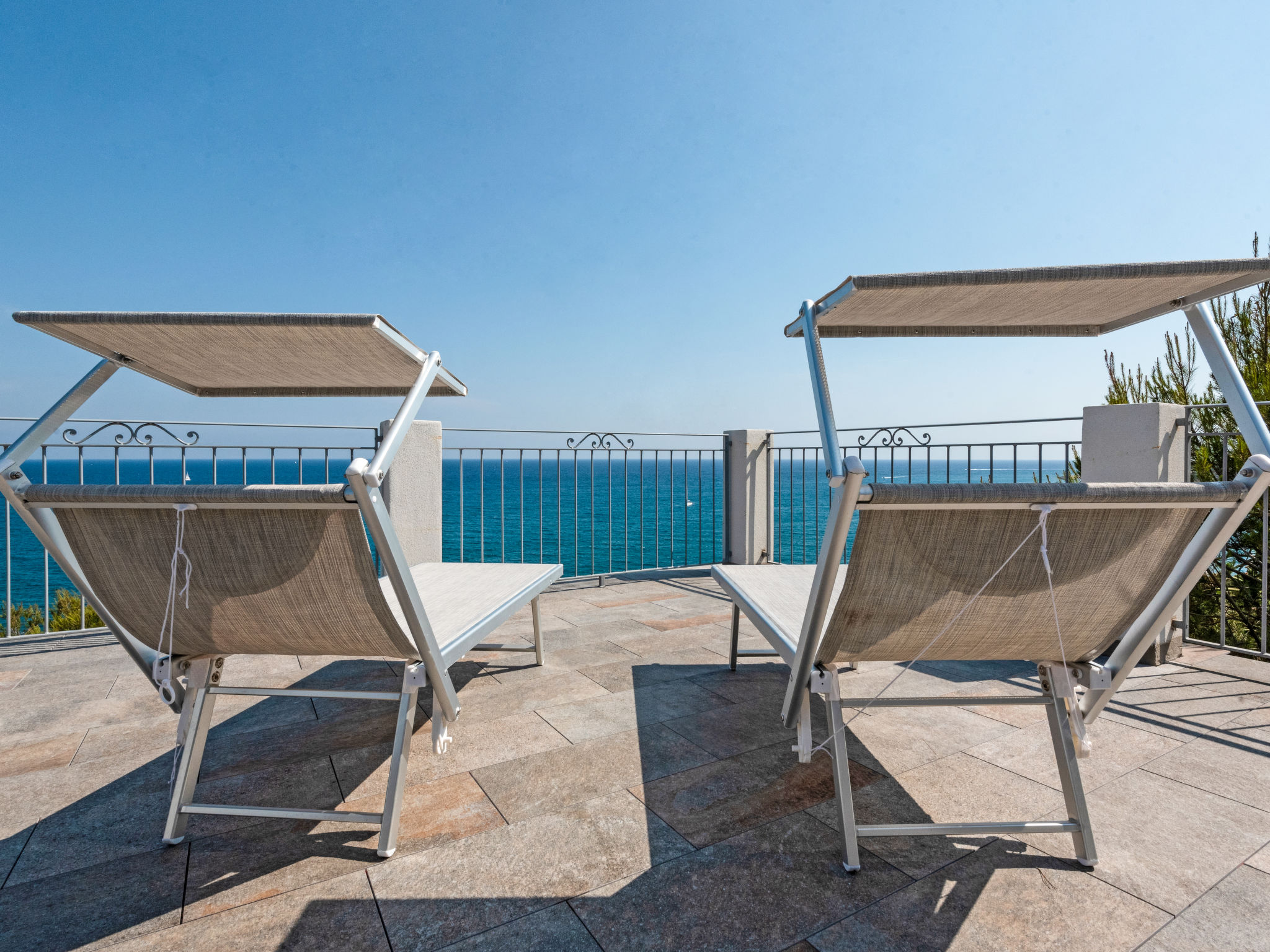 Photo of Blue (SLR352)