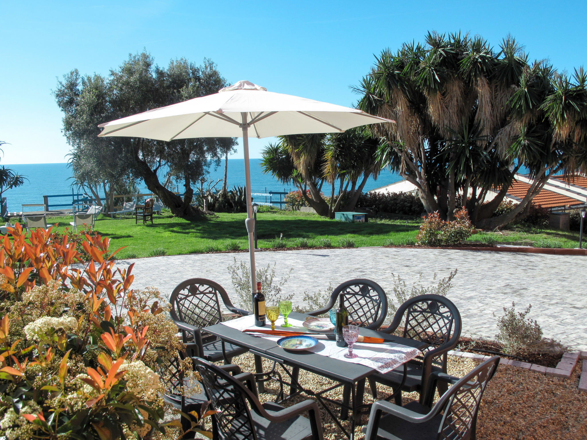 Photo of Orange (SLR353)