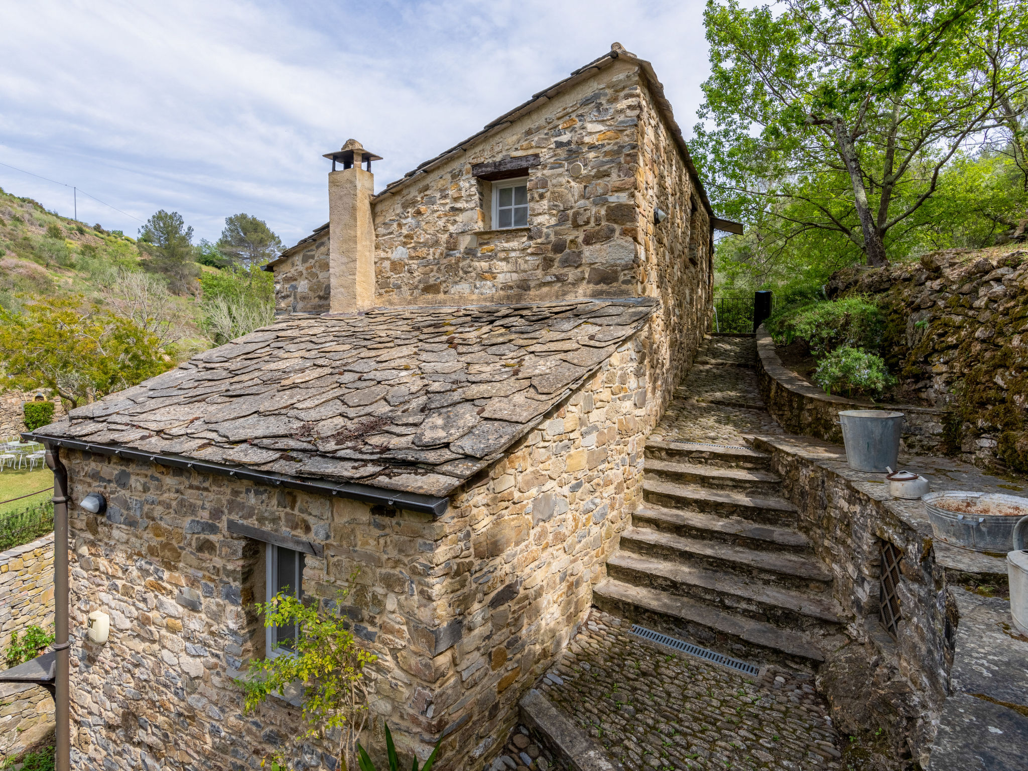 Photo of Muin du Pie (SLR120)