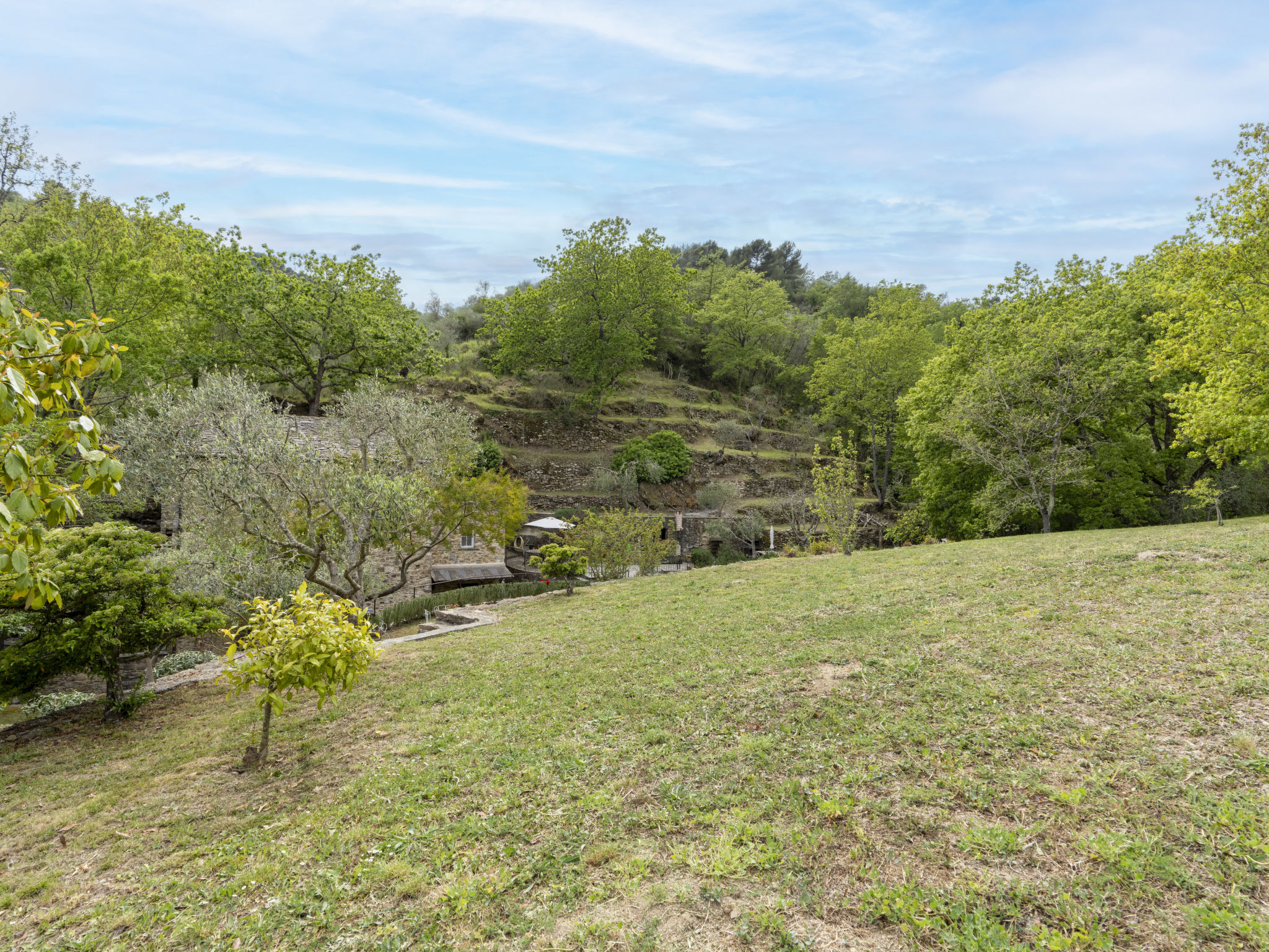 Photo of Muin du Pie (SLR120)