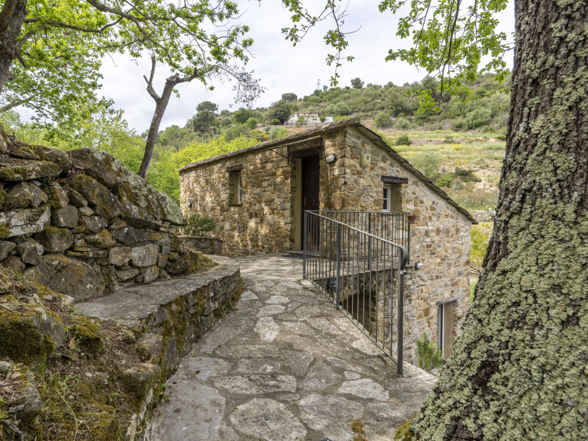 Photo of Muin du Pie (SLR120)