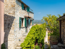 Bella Vista (DOL284)