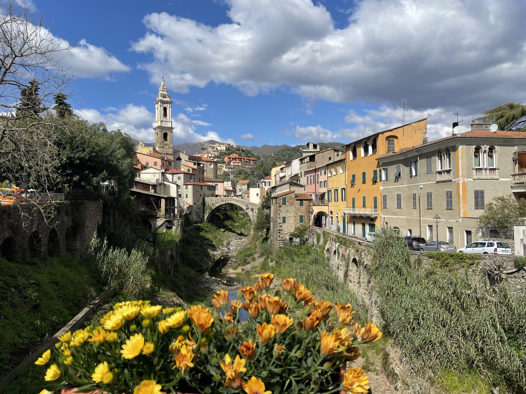 Alessandro - Area