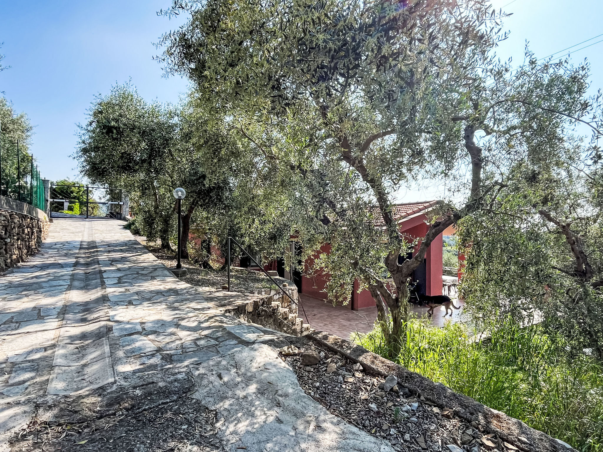 Orto di Silvia - Buiten