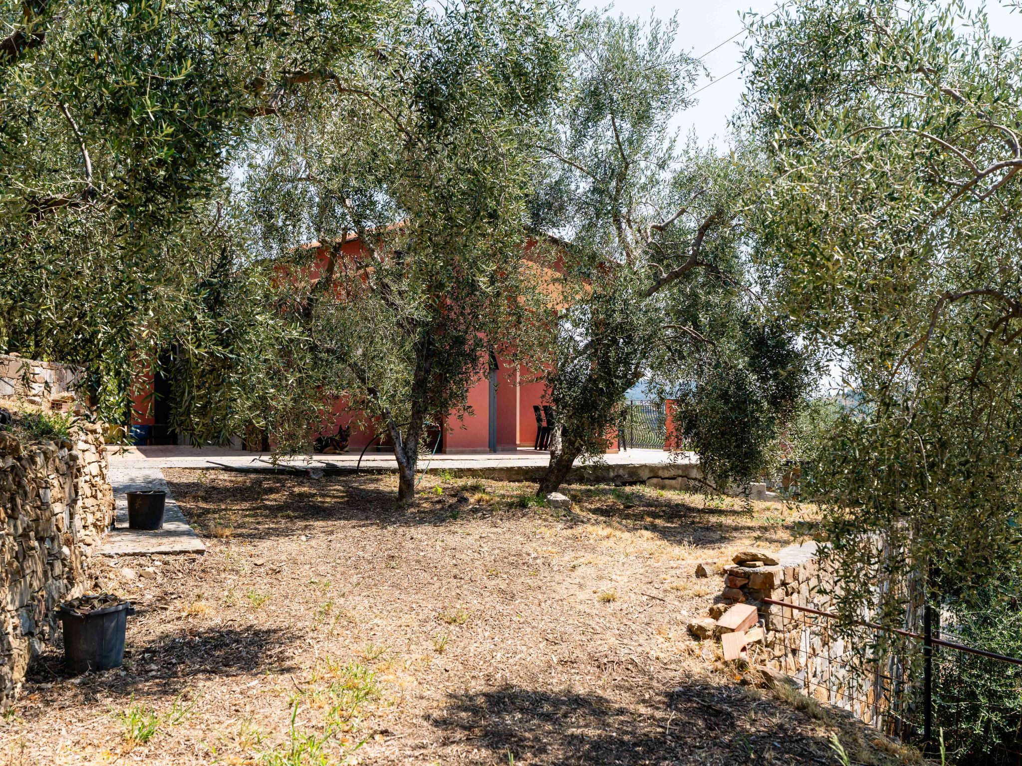 Orto di Silvia - Buiten