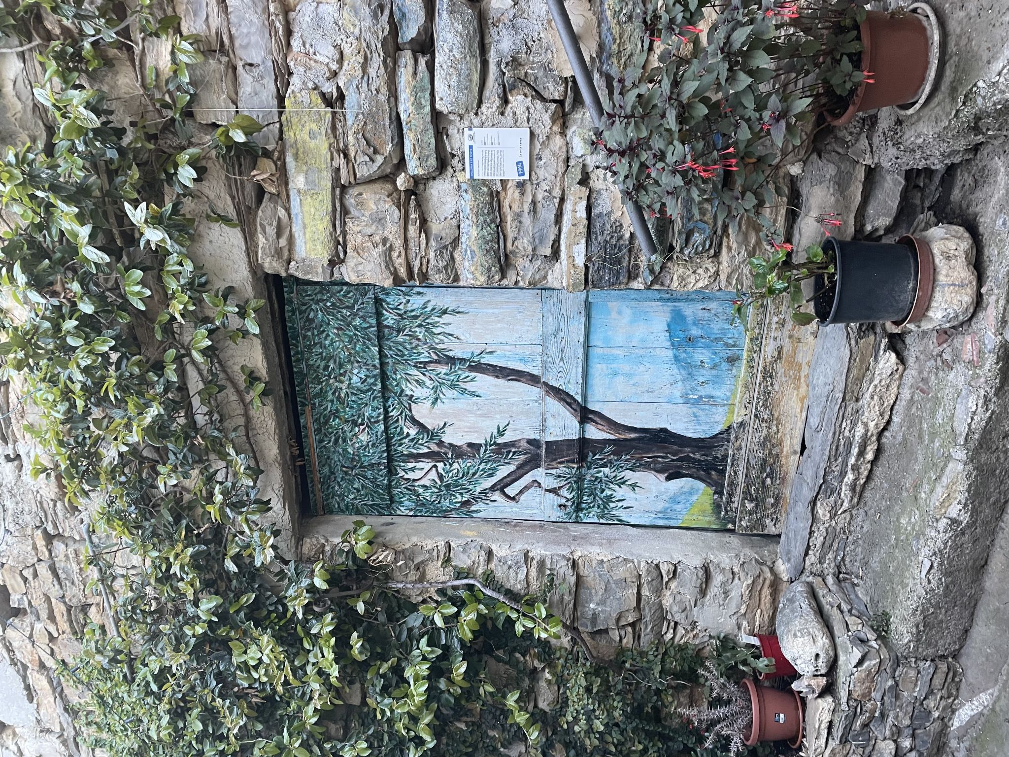 Appartement Giglio (VLO205) – Environs, photo 36 sur 42