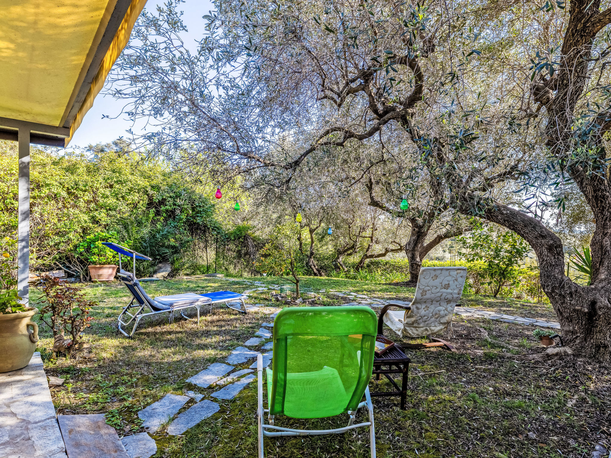 Photo of Villa degli Ulivi