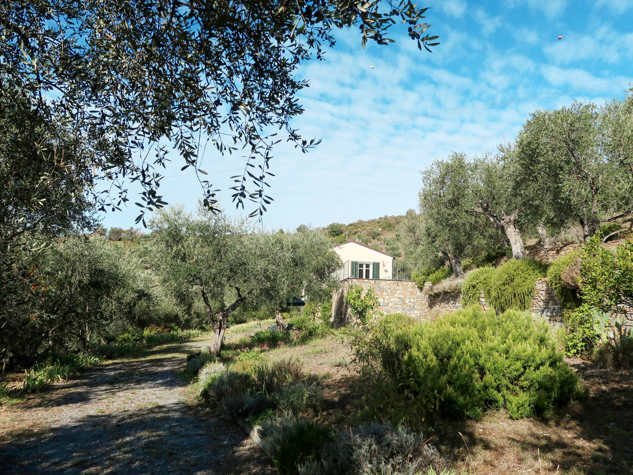 Il Terebinto (IMP427) Accommodation in Imperia