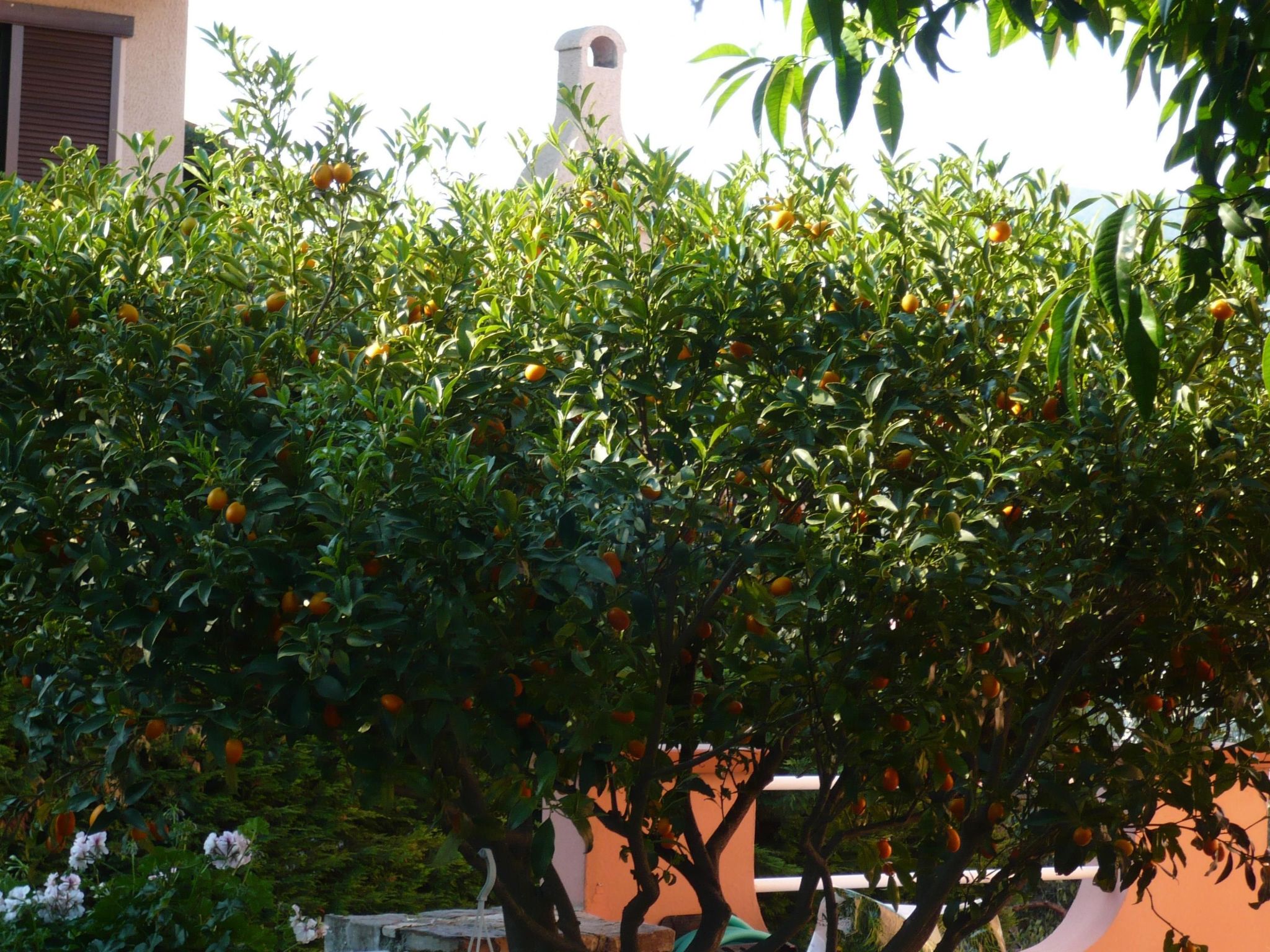 Photo of Zwei-Zimmer-Wohnung mit Meer- und Stadtblick