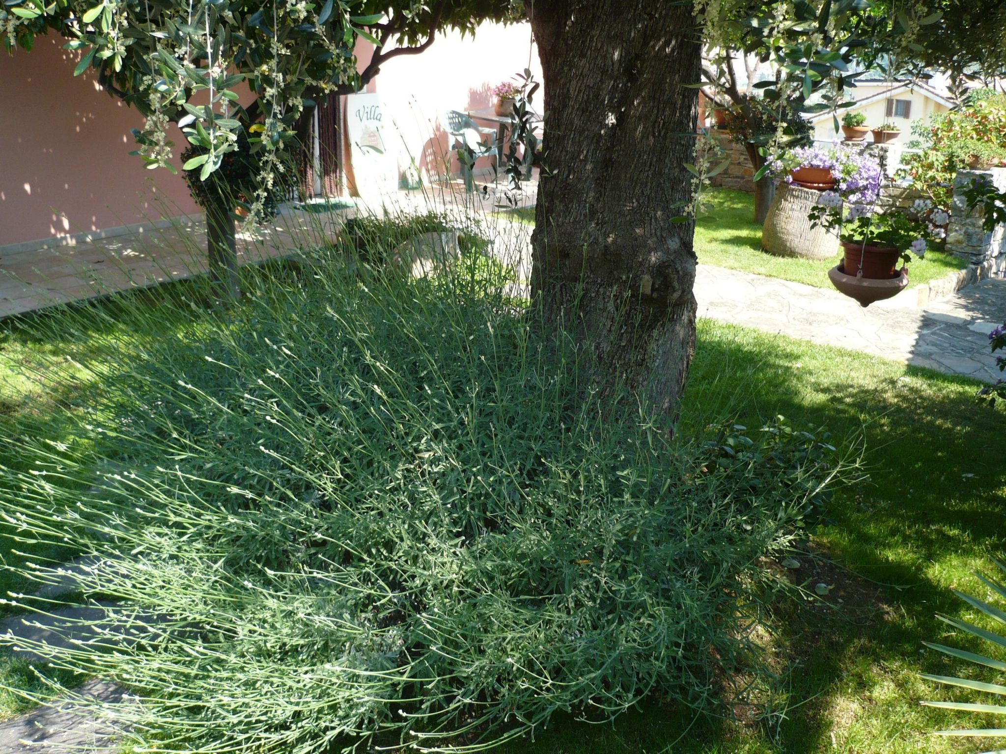 Photo of Anwesen mit Wasserblick