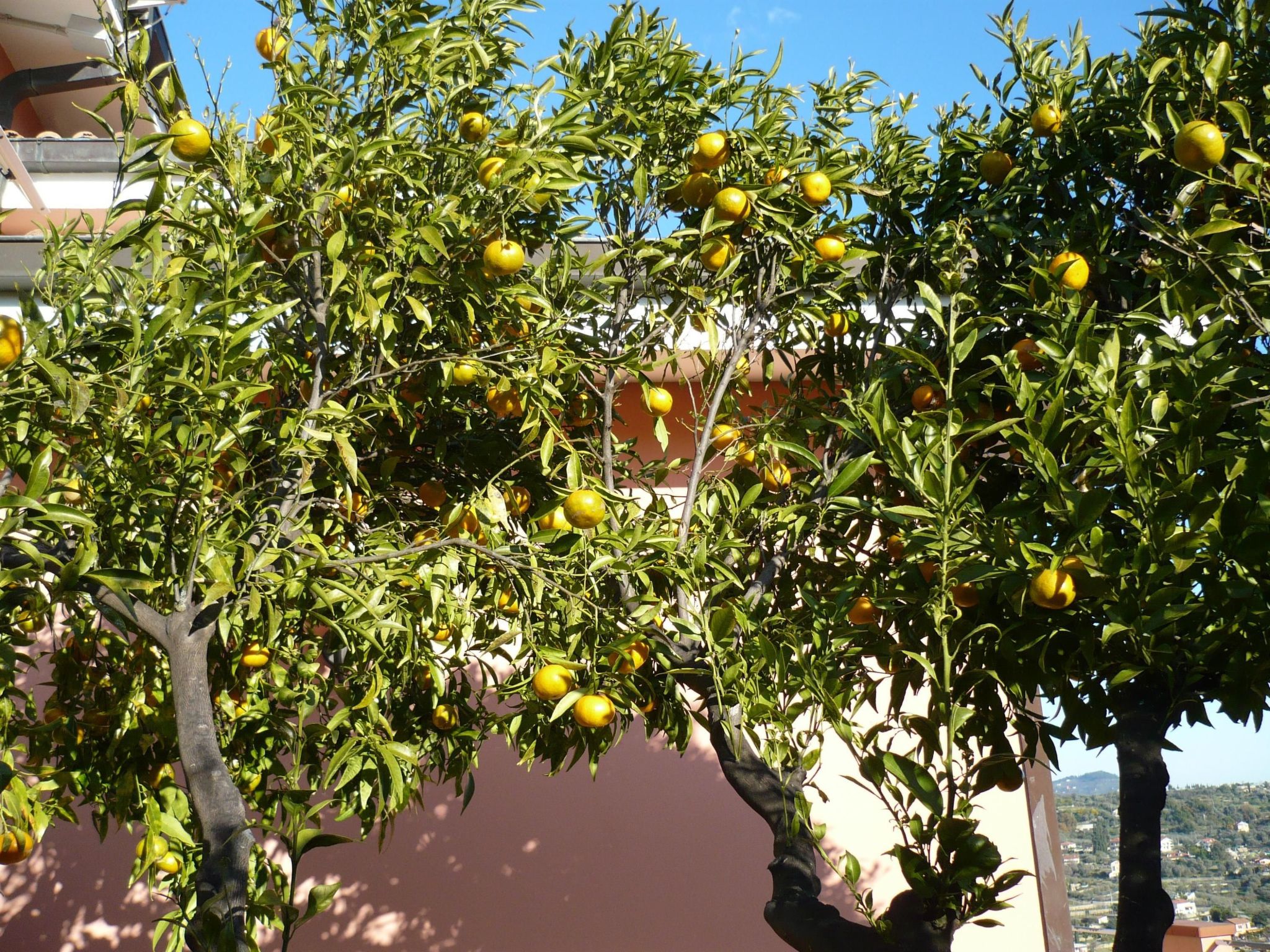Photo of Anwesen mit Wasserblick