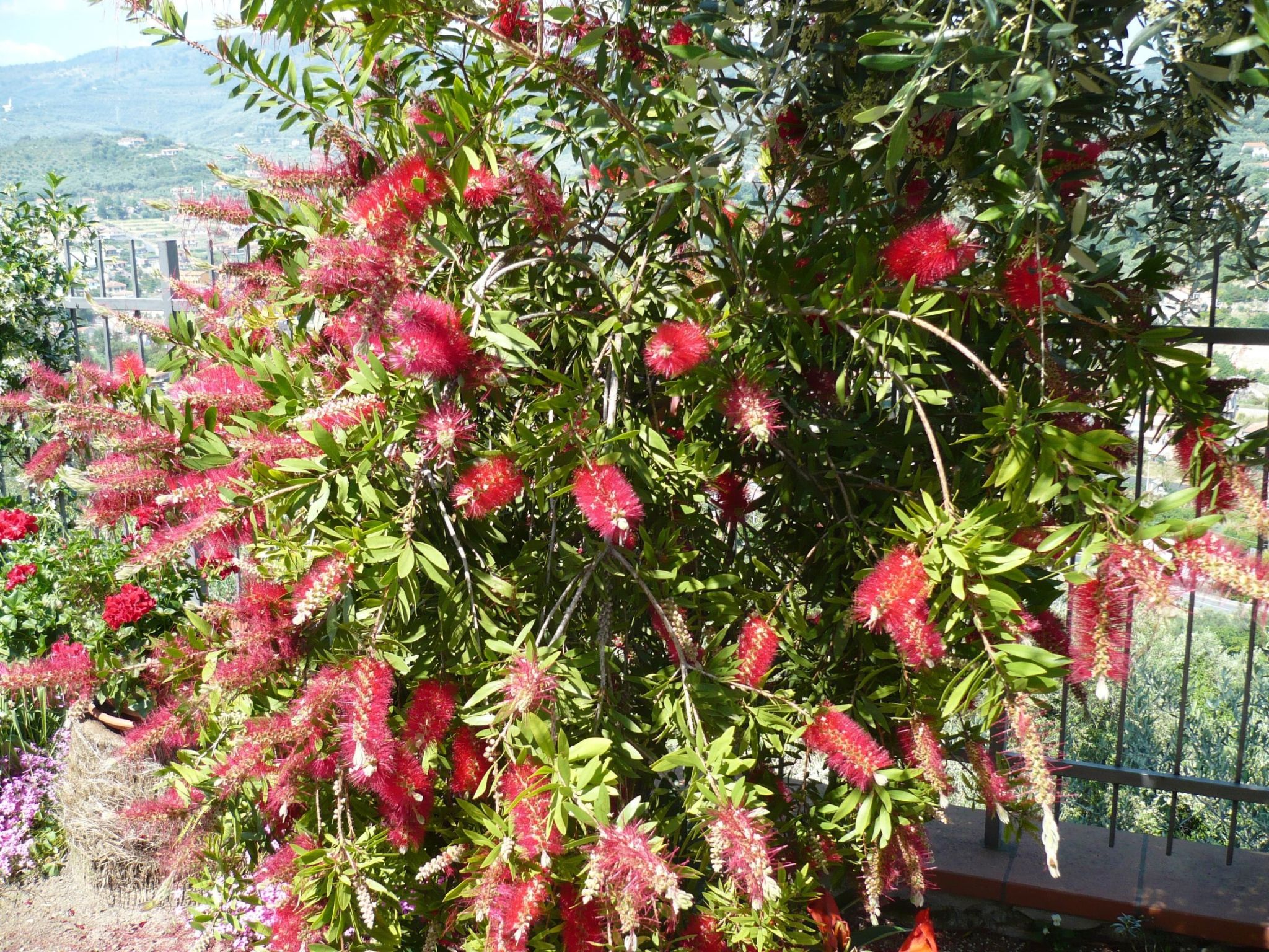 Photo of Cottage 'Red 5' mit Blick aufs Wasser